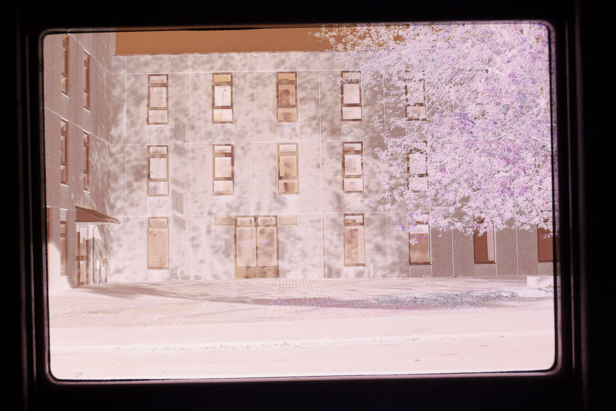 Digital negative RAW file from camera.
