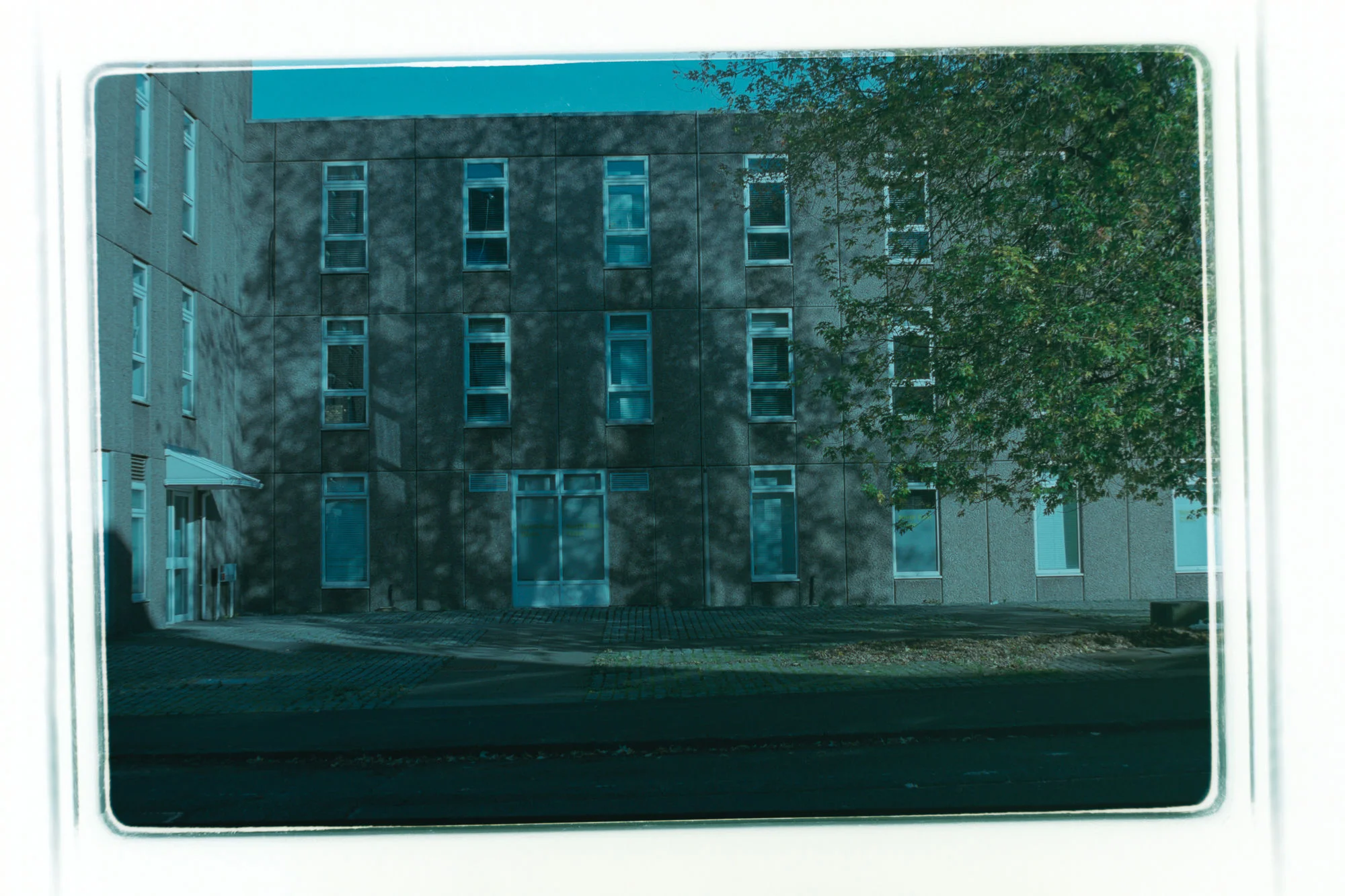 The digital negative inverted to create a positive image which has a strong cyan colour cast.