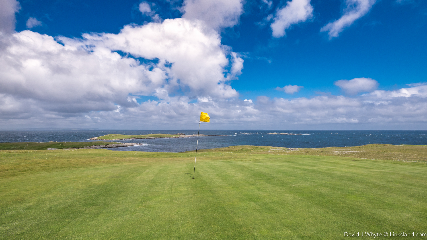 Thar be whales out there. And you have a fair chance of seeing them at Whalsay Golf Club