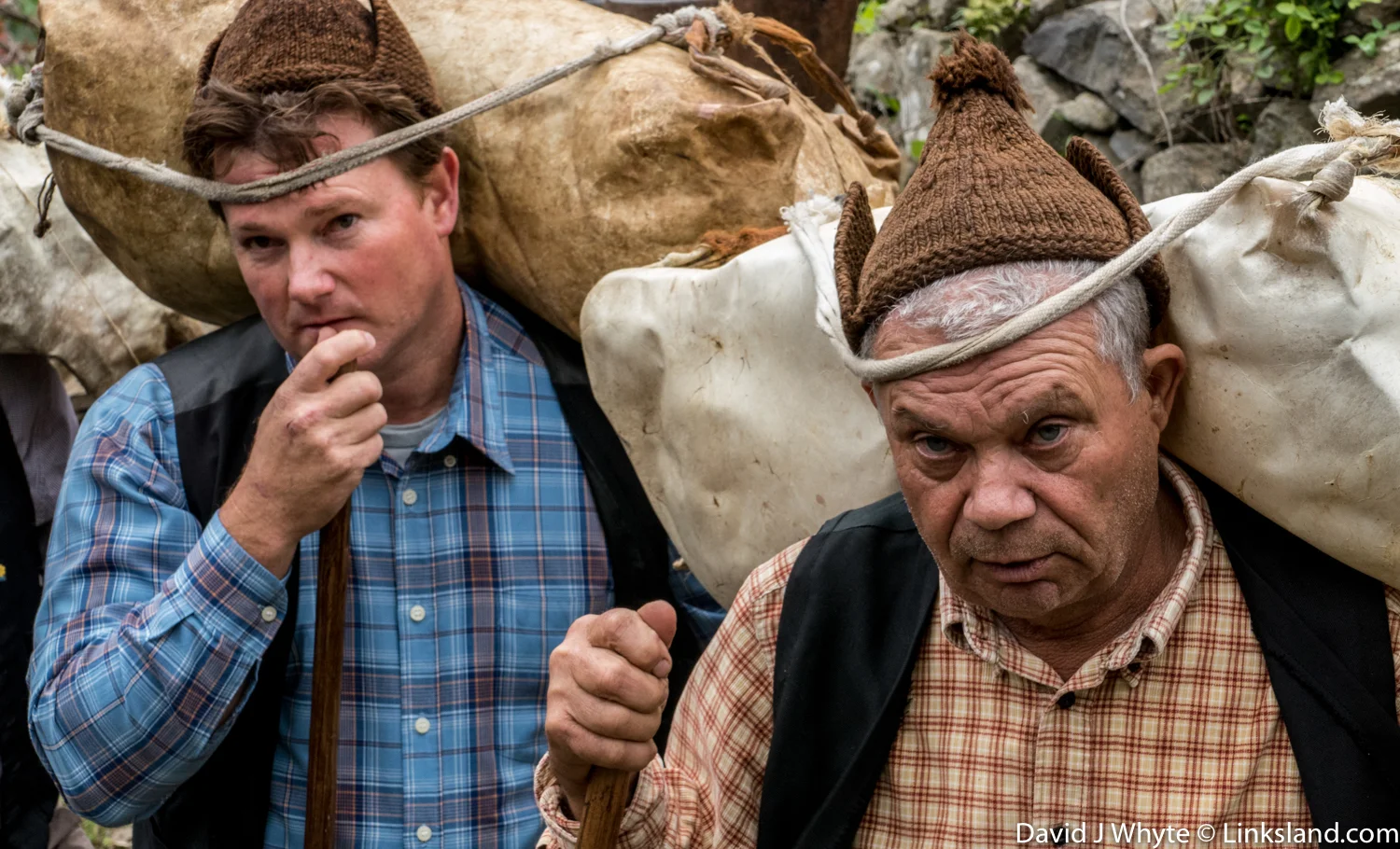 Borracheiros in the Village of Porto da Cruz, Madeira © David J Whyte @ Linksland.com-7.jpg