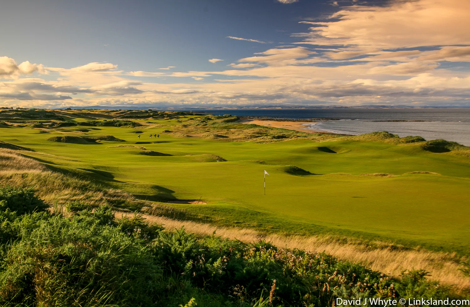 Kingsbarns Golf Links - David J Whyte © Linksland_1.jpg