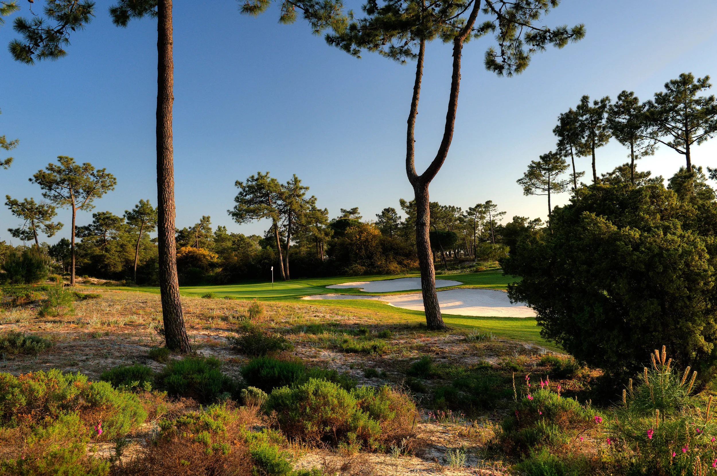 Tróia Golf Links is an oasis of delight in one of the most naturally beautiful parts of Portugal