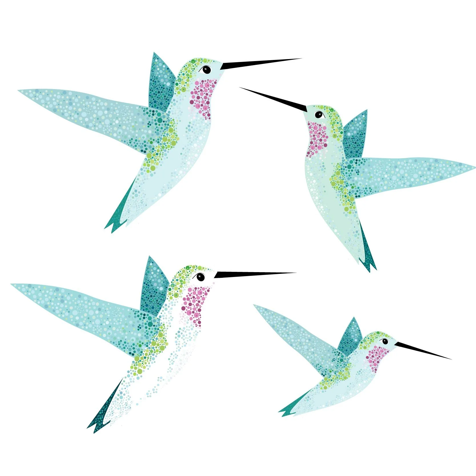 hummingbird-01.jpg