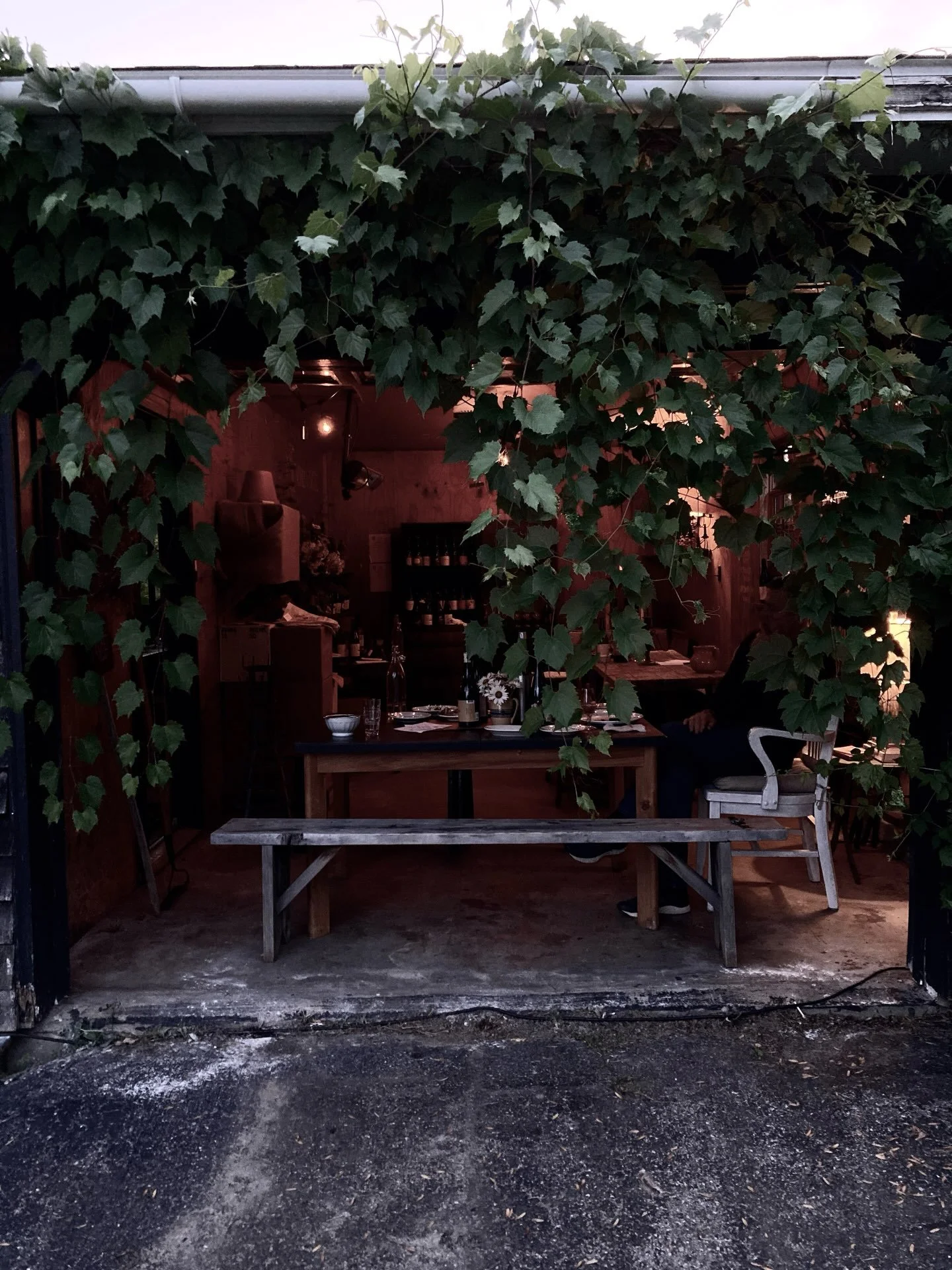 Little For&ecirc;t.
By evening, the vineyard becomes another room.