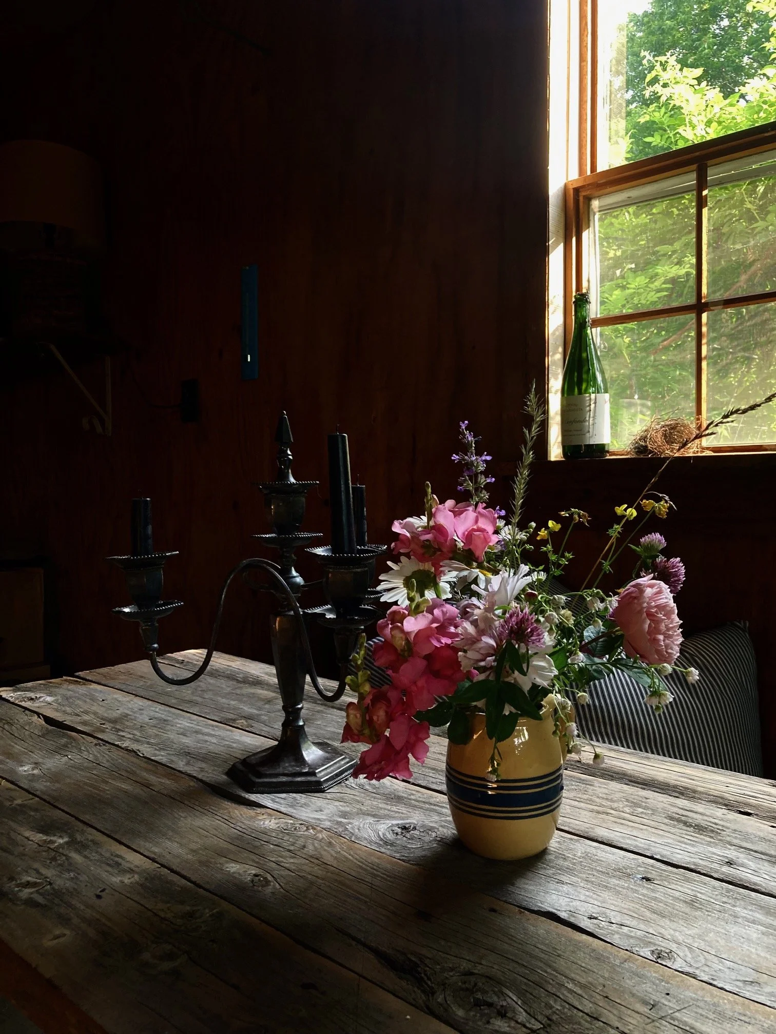 Postcards in Bottle Form: A Spring Offer from the Vineyard