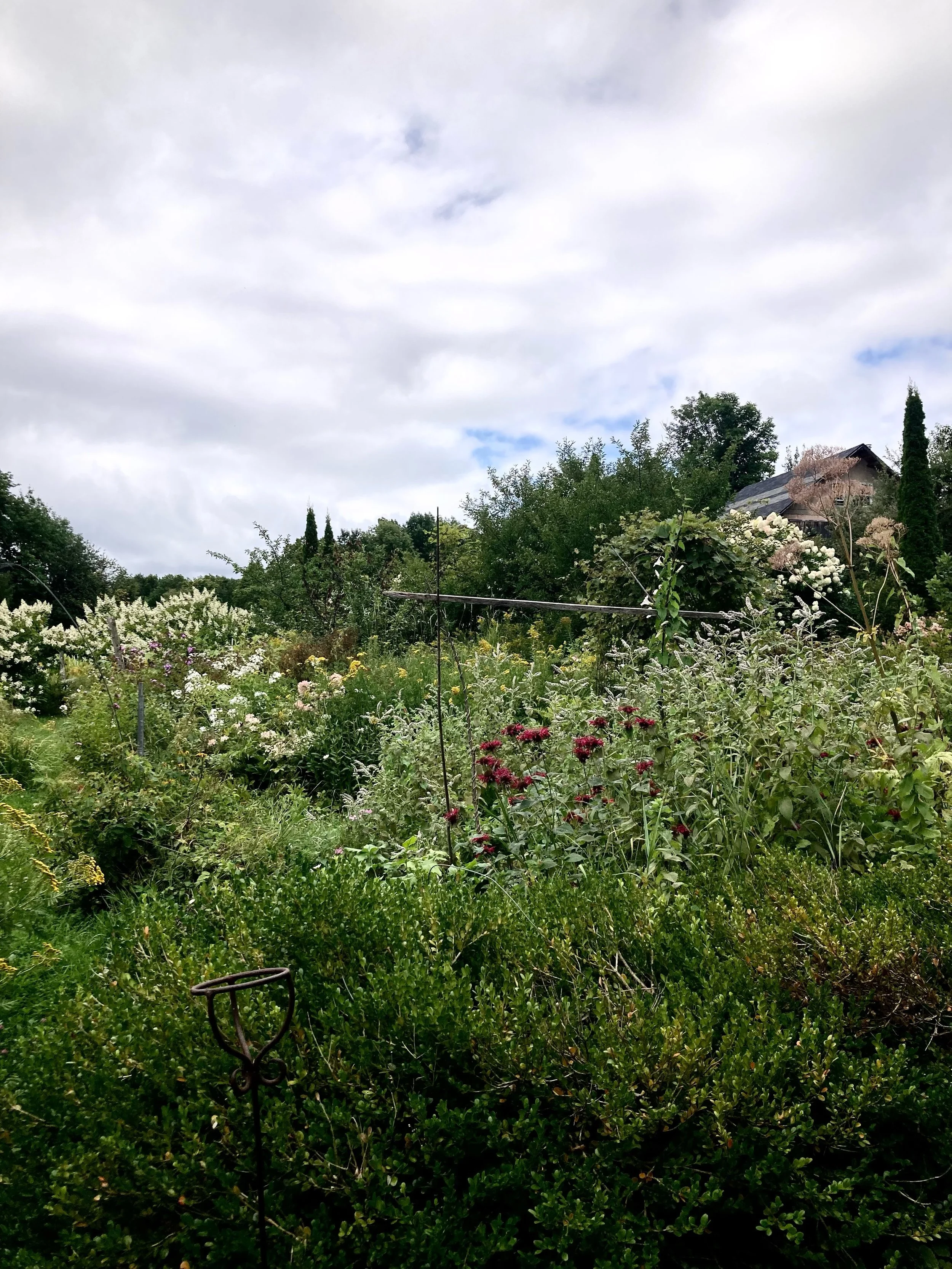 FIELD NOTE &middot; BARNARD &middot; AUGUST 25

This morning the air had changed. Cool and grey, with momentary flashes of sun and spits of rain. I wear a sweater and wish I had a scarf.

In the mountains, the season tells your future.

The Marquette