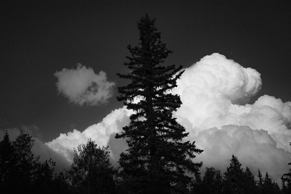 jonathanburkhart,oklahomacityphotographer,photography,colorado,gardenofthegods,woodlandpark,mountains,25.jpg