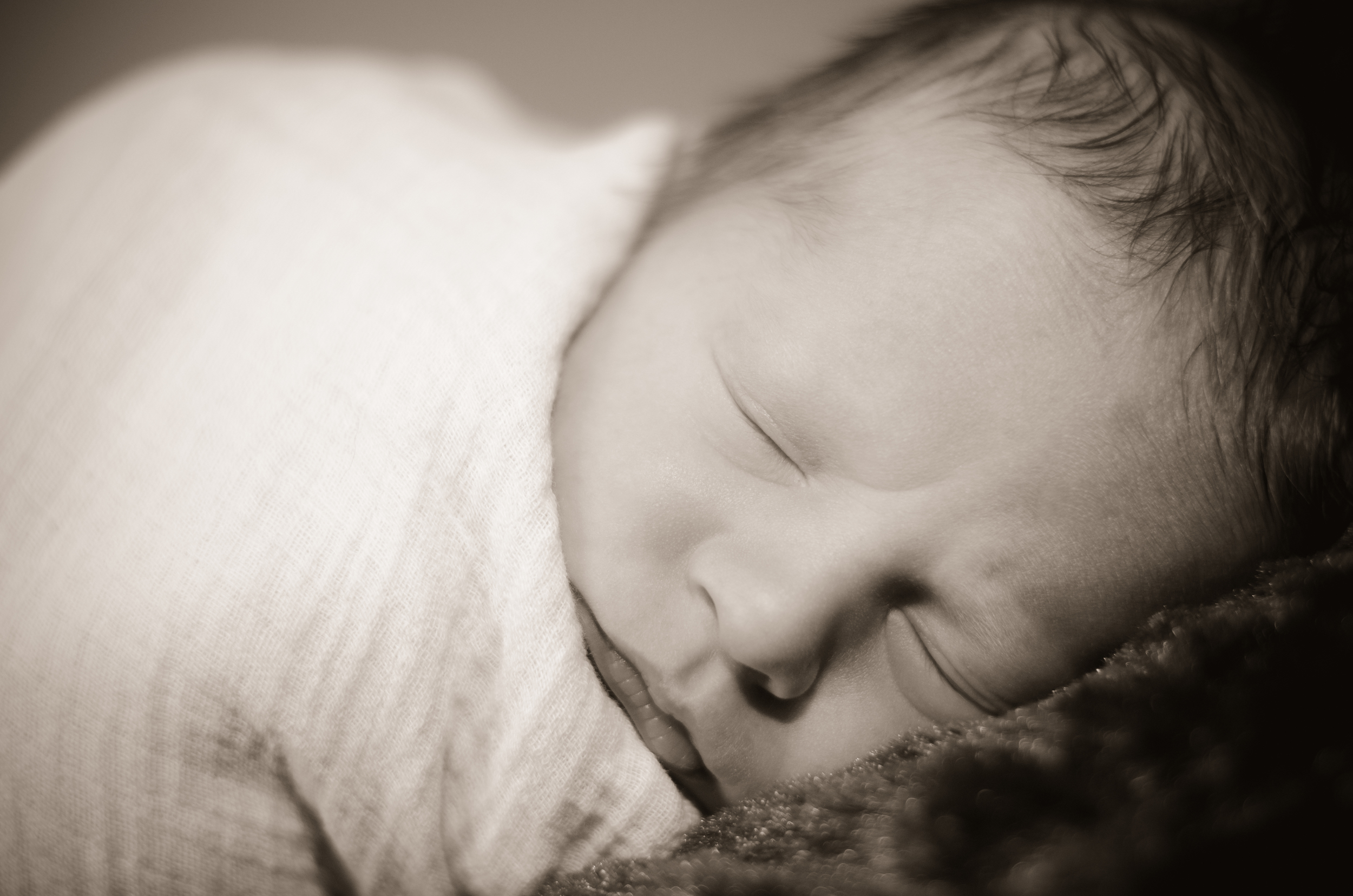 Baby Zander Sepia-80.jpg