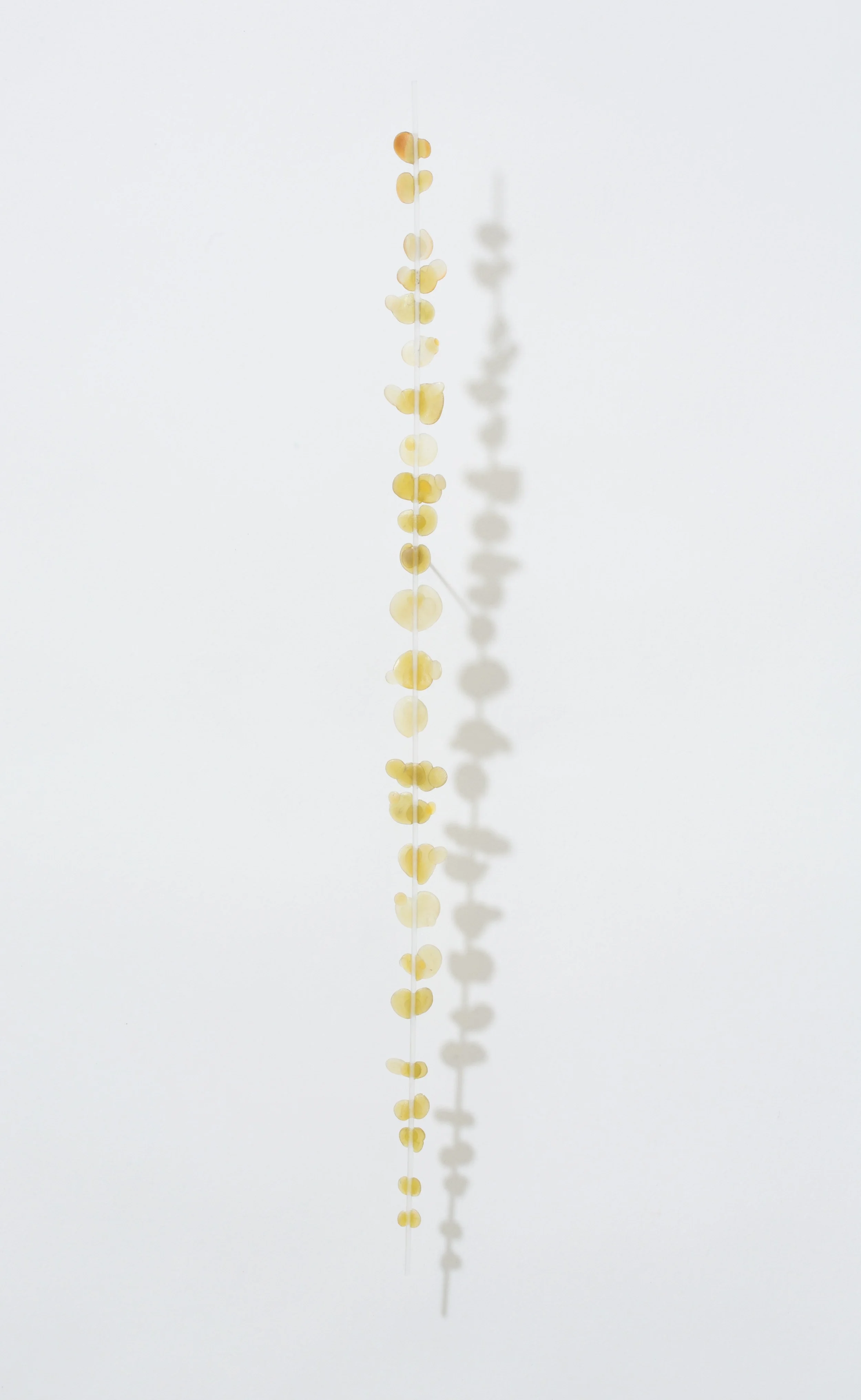  Jade Dream   2015 | polymer, ink, acrylic rod&nbsp;  15” X ¾” X ¼” 