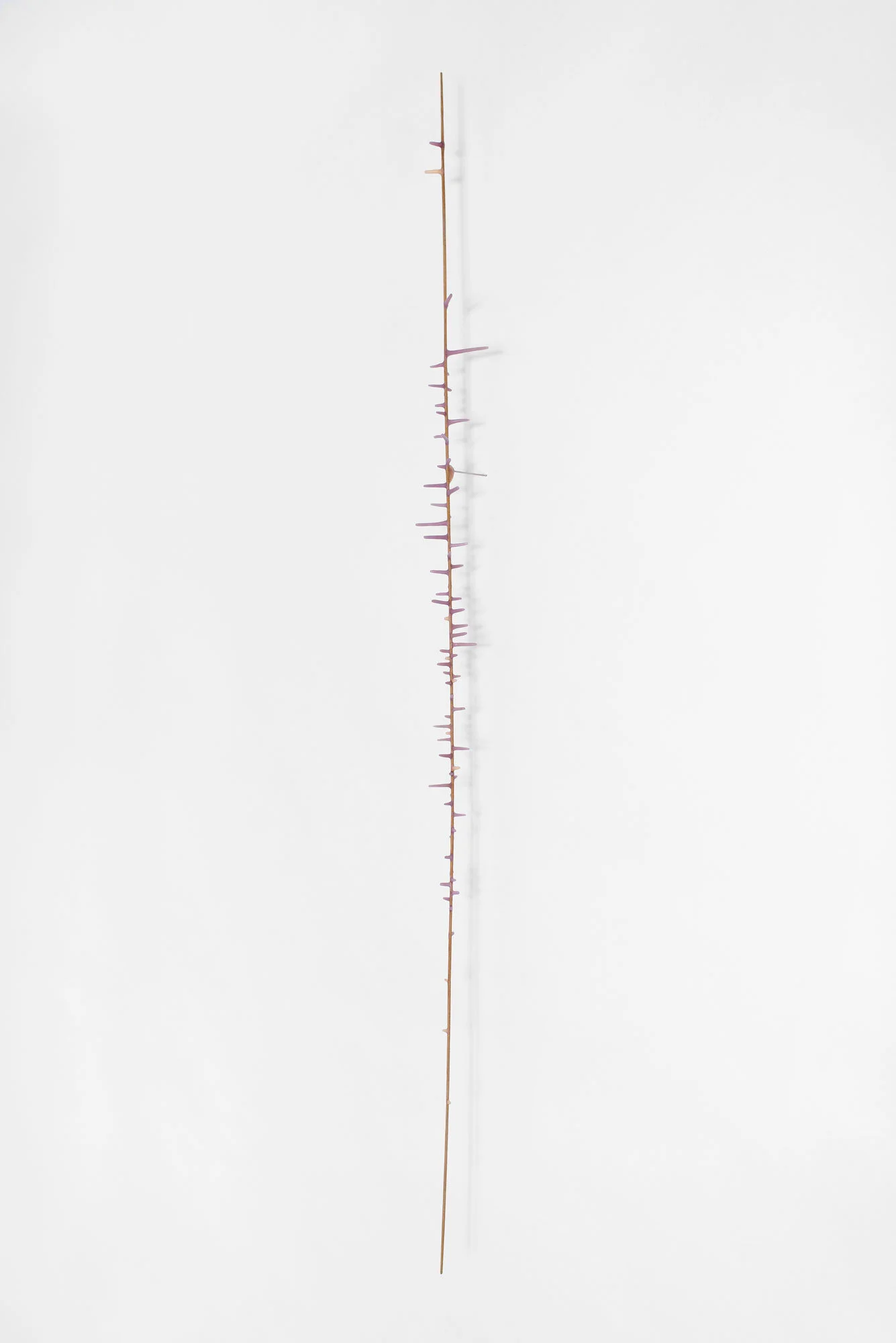  Breather   2016 | polymer, ink and wood   36 x 2 x 1.5” 