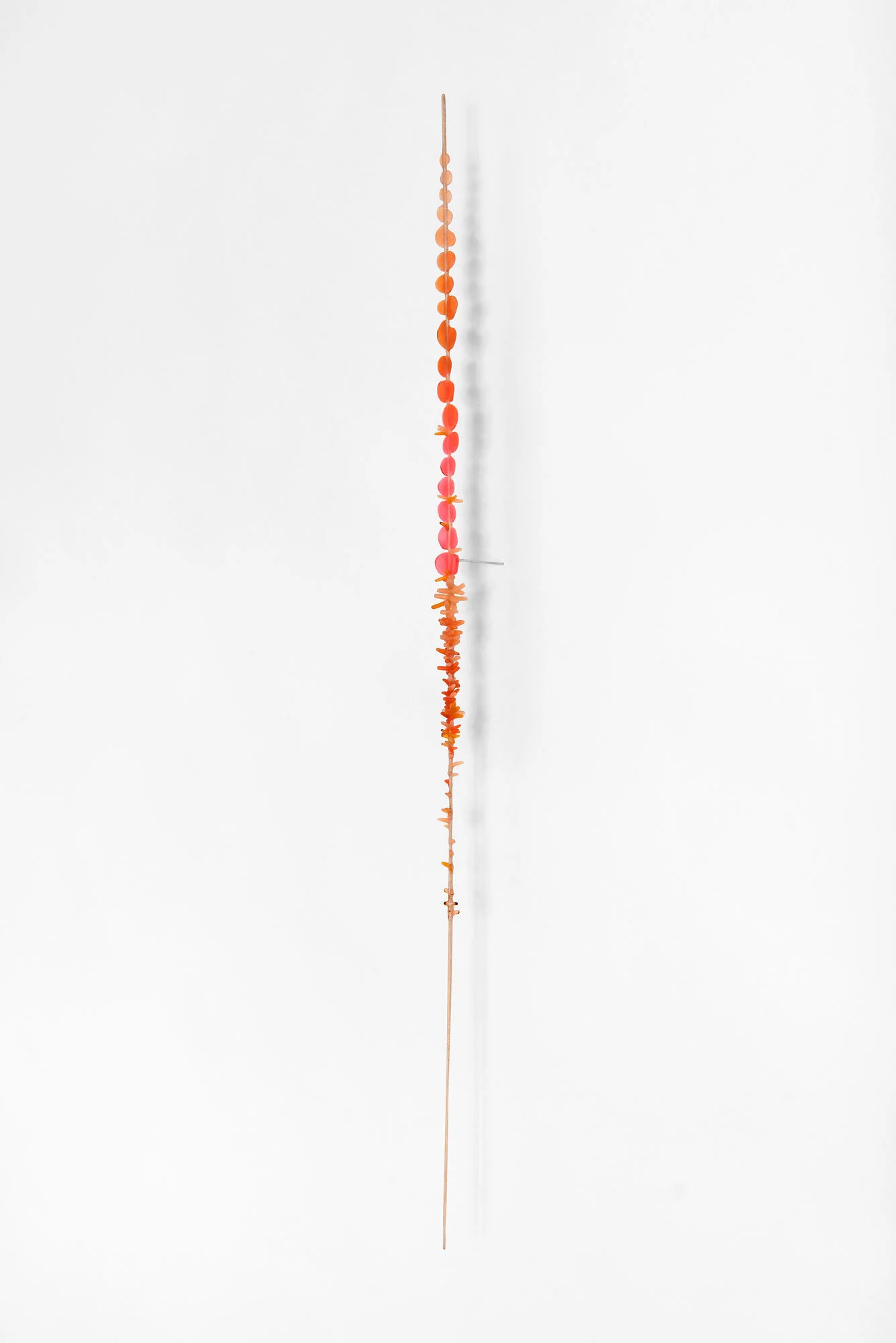  Persimmon   2016 | polymer, ink and wood   23 x .75 x .5” 