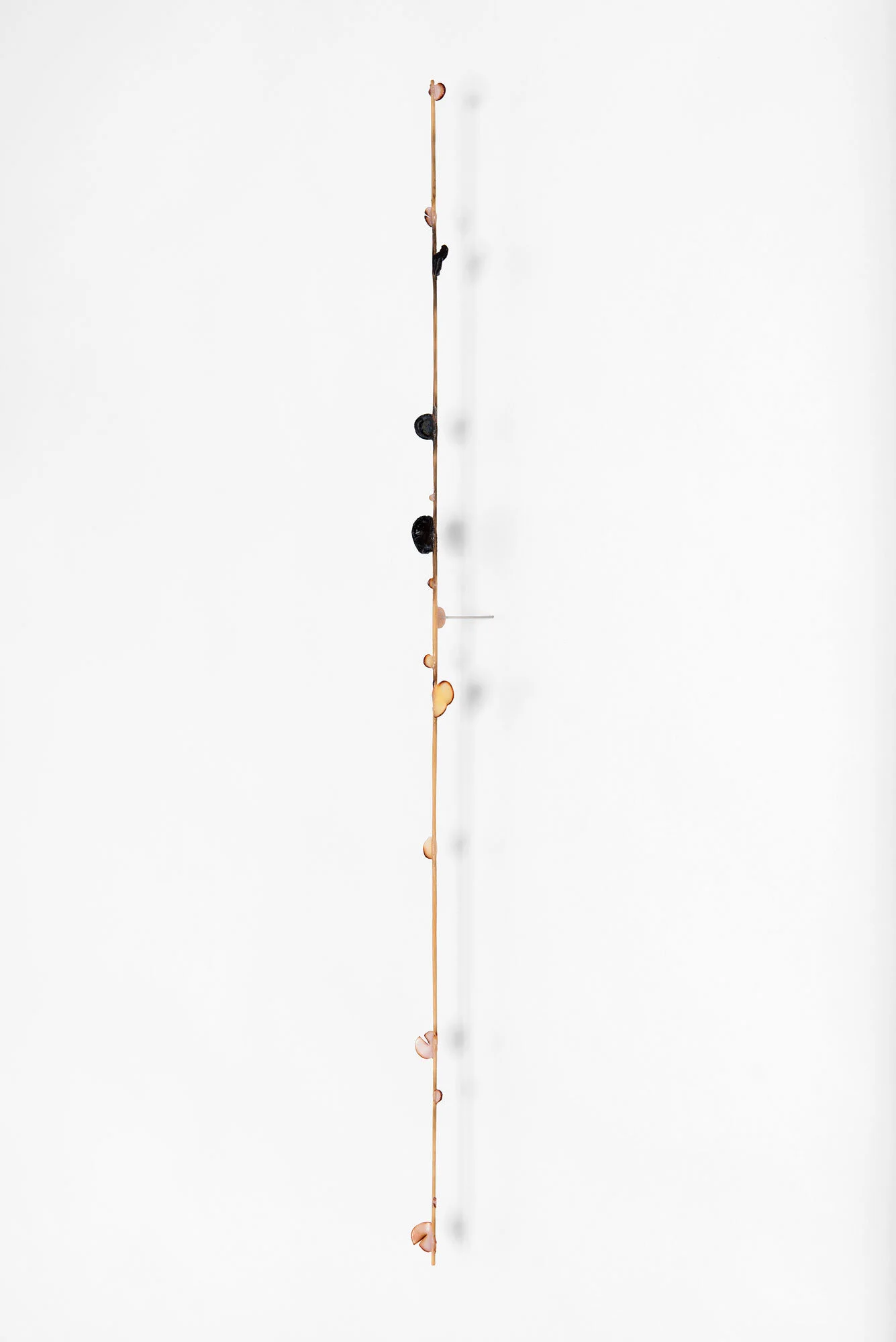  Presto   2016 | polymer, ink and wood   24 x 1 x .5” 