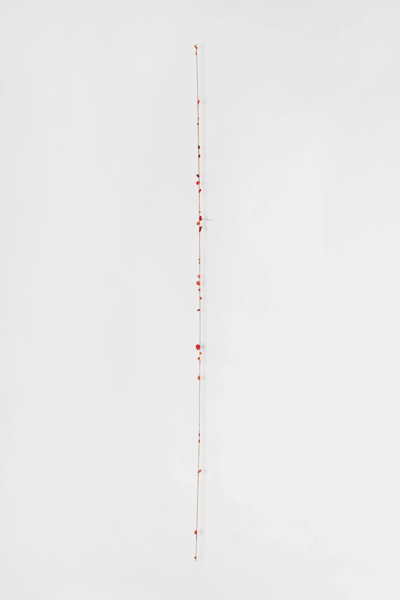  Way To Go   2016 | polymer, ink and wood   60 x .75 x .5” 