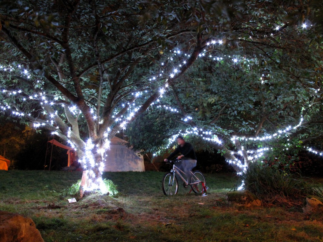  1 bicycle powering LED 'tree branches', Greenman Festival 