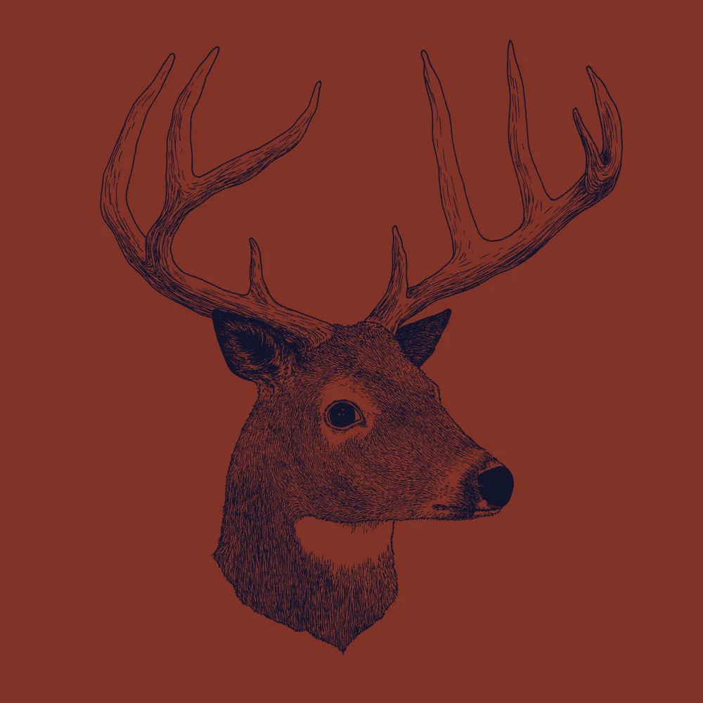 DeerHead.jpg