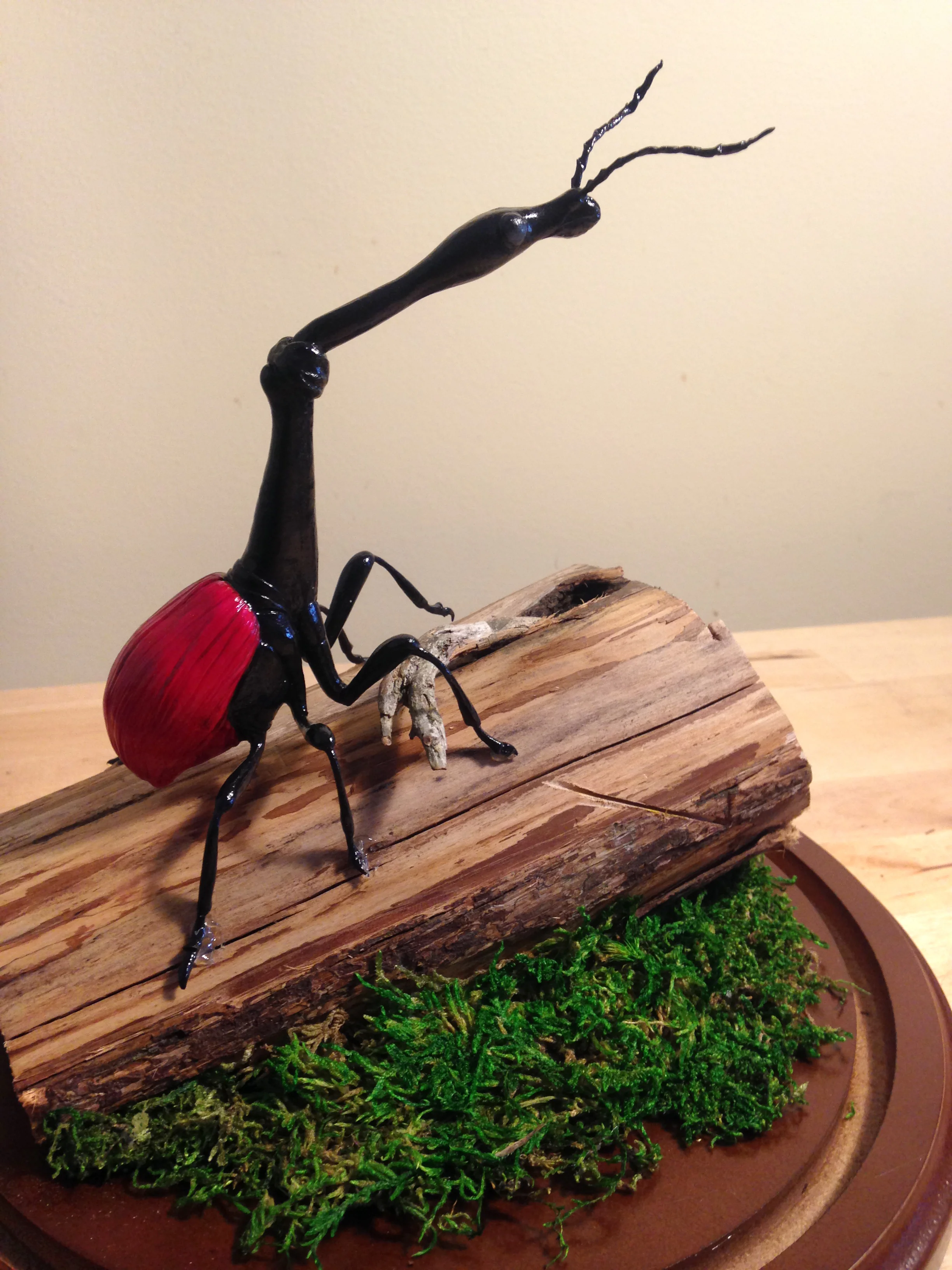 weevil3.jpg
