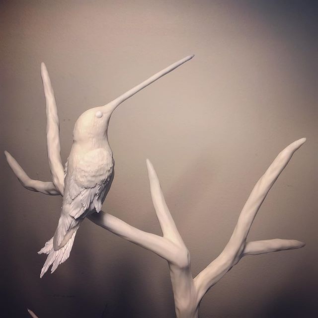 If you haven’t done it yet, you should follow my sister account @sscakedesignnyc! I’m ‘branching’ out on my own in the world of edible sculpture and high end, decorated cakes. I promise the designs will be just as nature/animal-inspired as my traditional work. .
.
#swordbilledhummingbird #hummingbirds #modelingchocolate #sugarart #ediblesculpture #edibleart #sscakedesign #artcake #birds #nature #floraandfauna