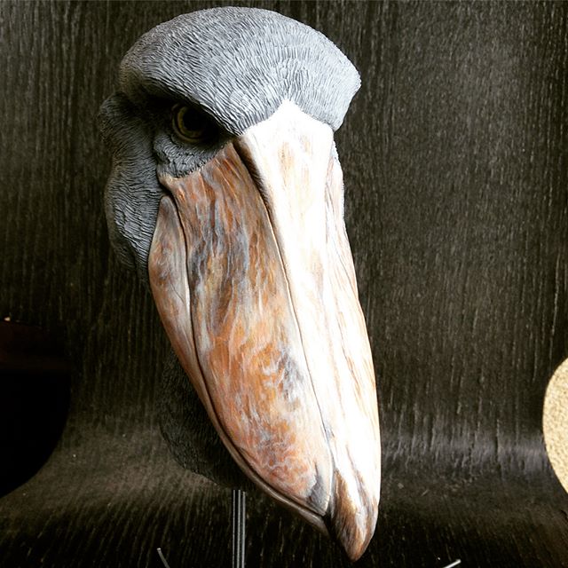 Paint job: ✔️...now to be sealed and mounted. Anyone know a woodworker willing to make a simple base for a 7&quot; diameter glass dome? .
.
.
#shoebill #shoebillstork #animalart #sculpture #sculpey #fauxtaxidermy #crueltyfreetaxidermy #etsy #sesart