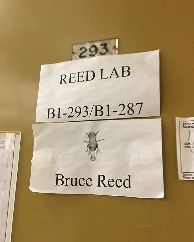 Reed lab @uofwaterloo