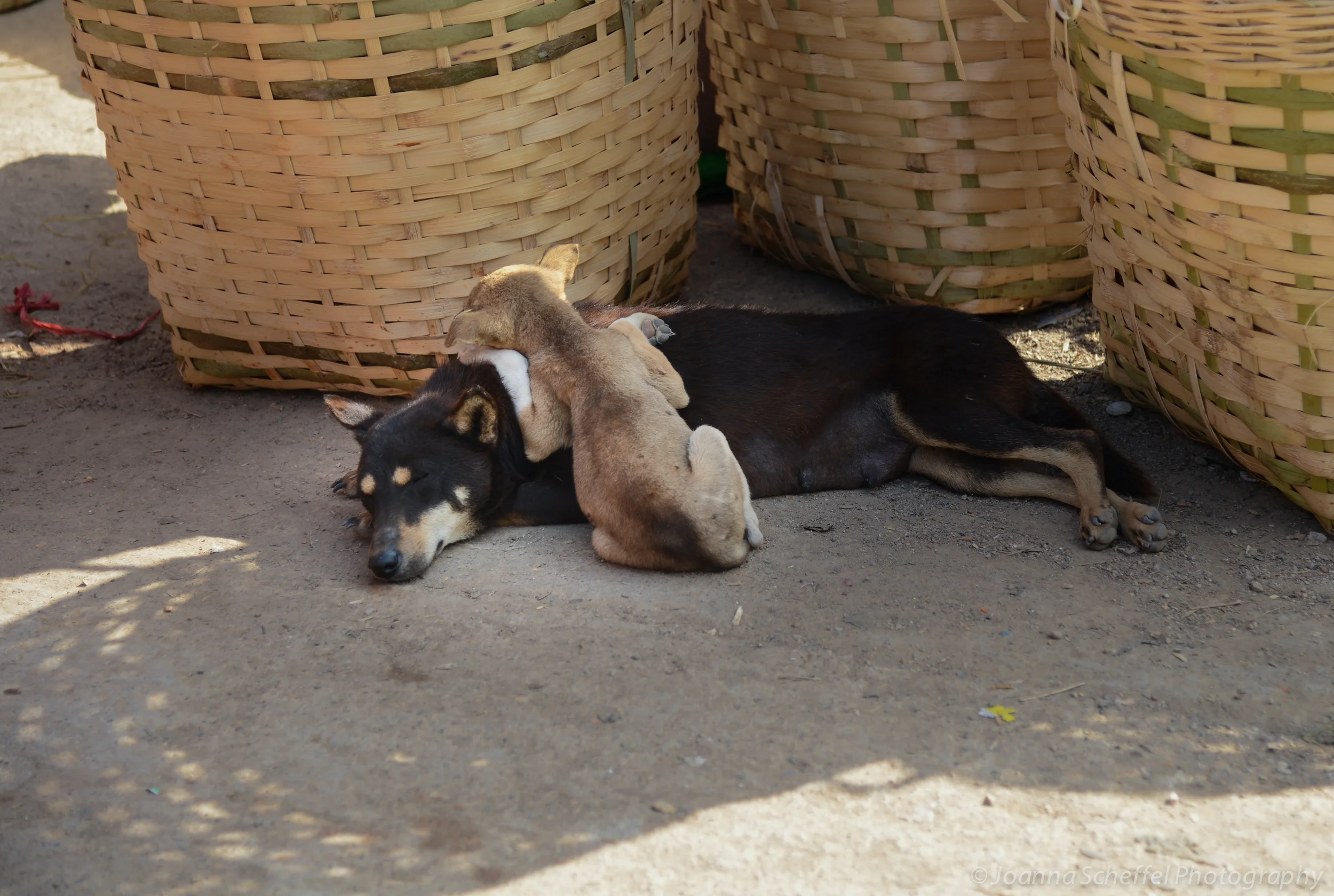 Afternoon nap