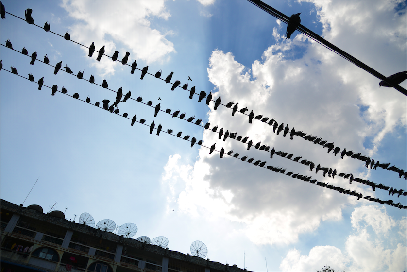 Screen Shot 2014-07-12 at 18.46.03.png