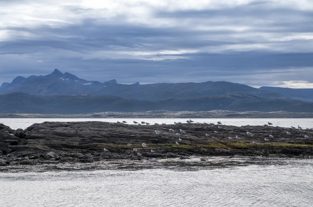DSCF3898-2.jpg