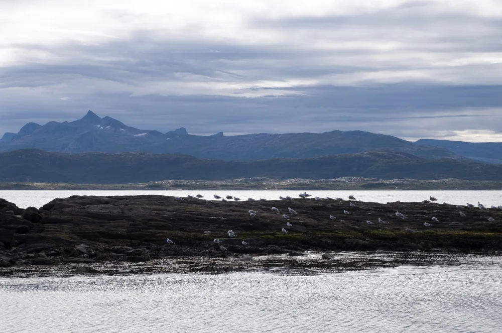 DSCF3898.jpg