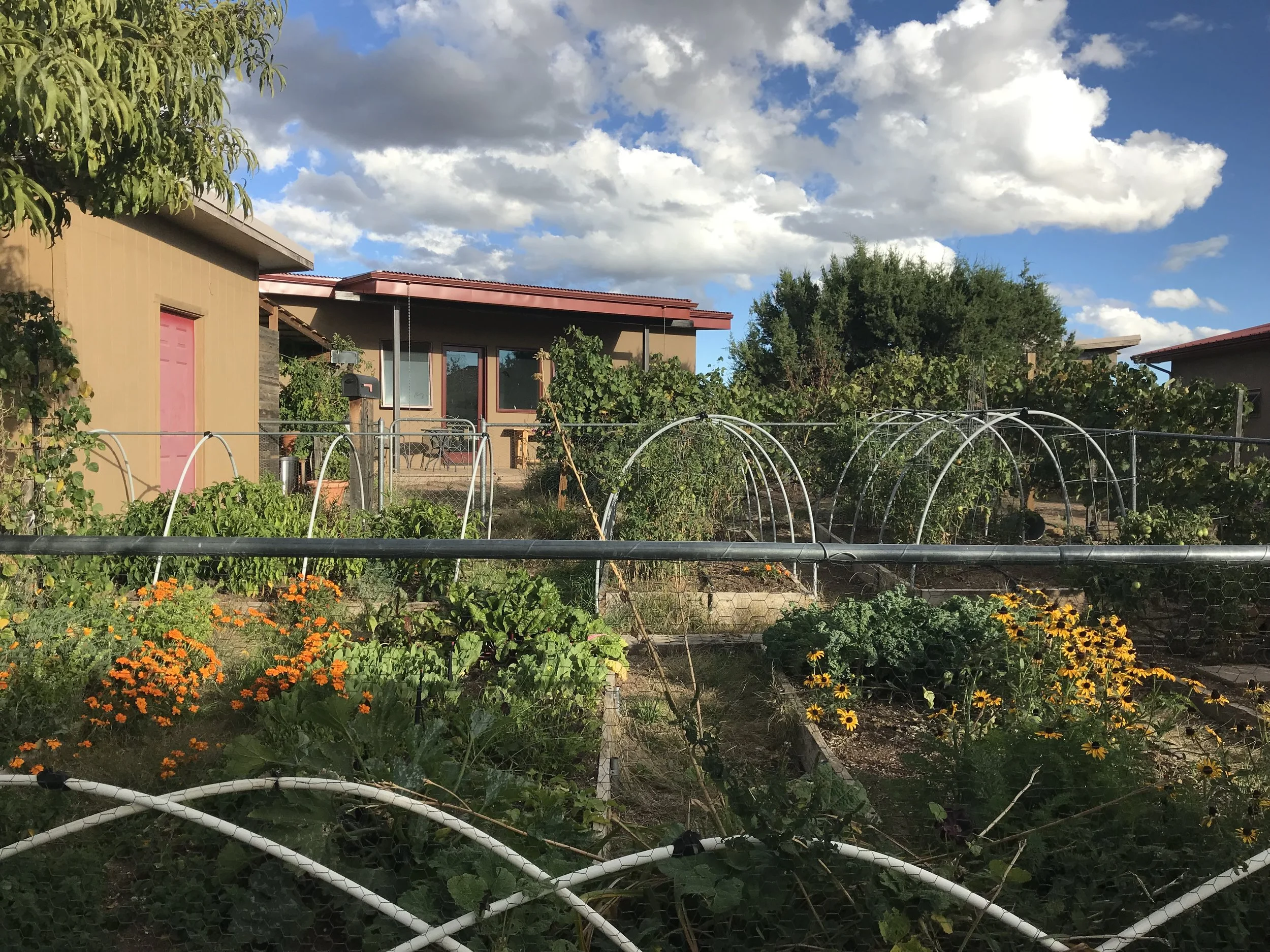 Garden with studio in the background.