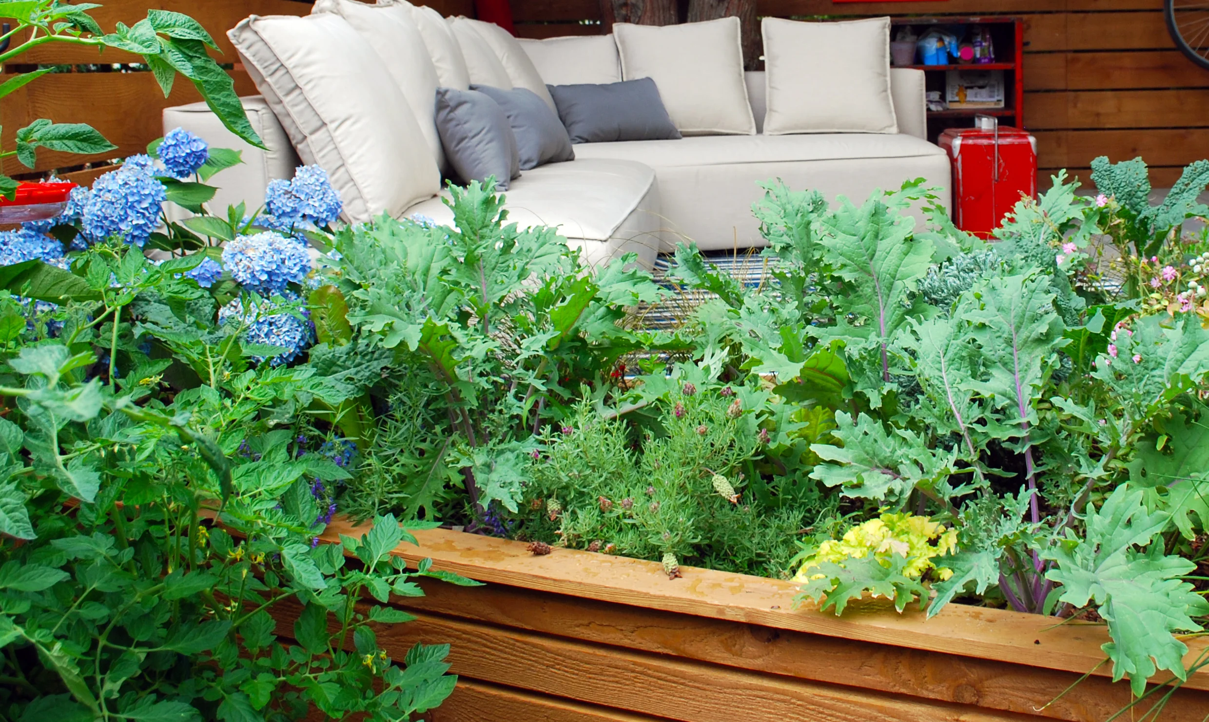 planter box.jpg