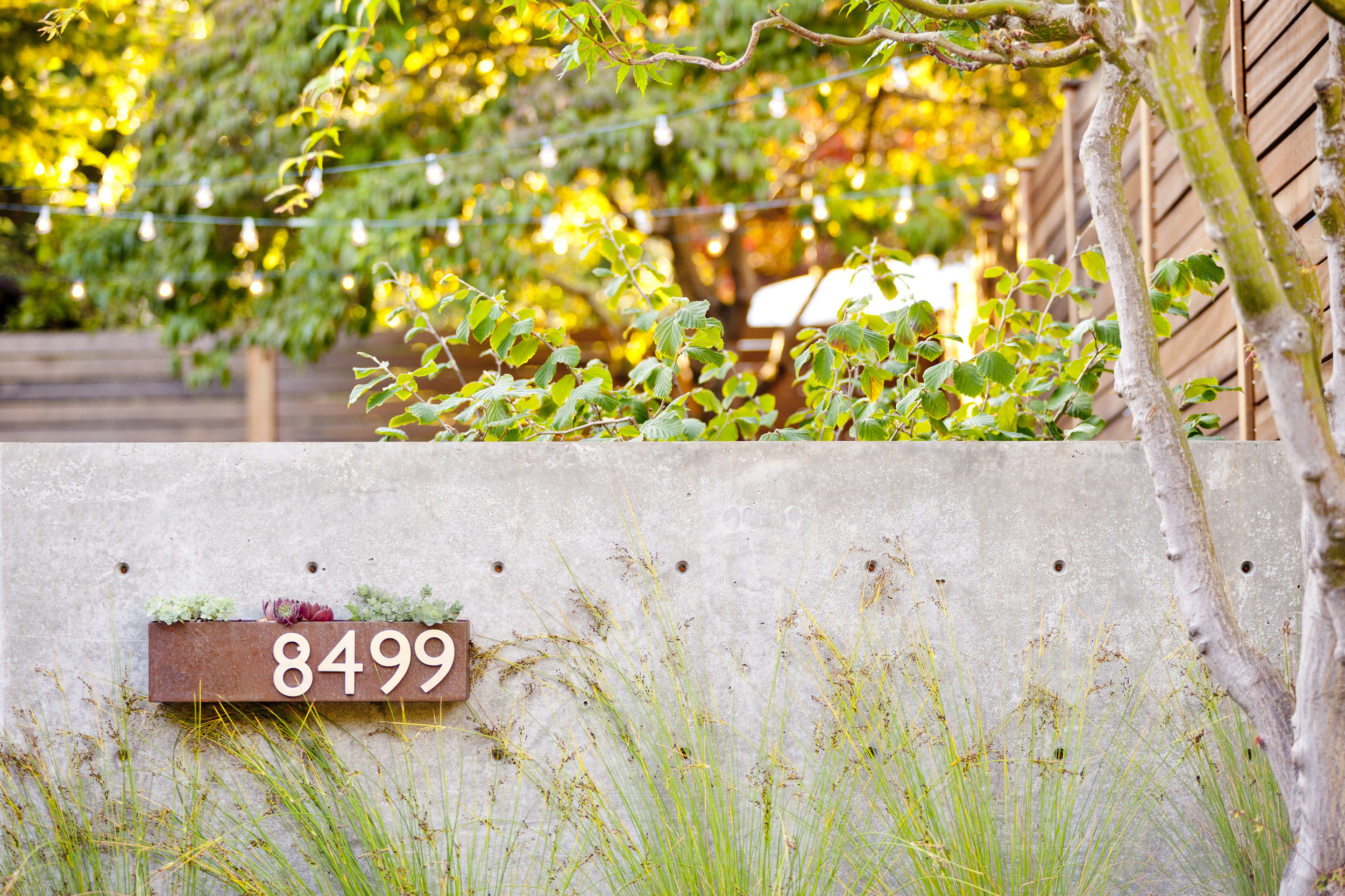 Mid Century Seattle Courtyard Remodel Project Groundwork