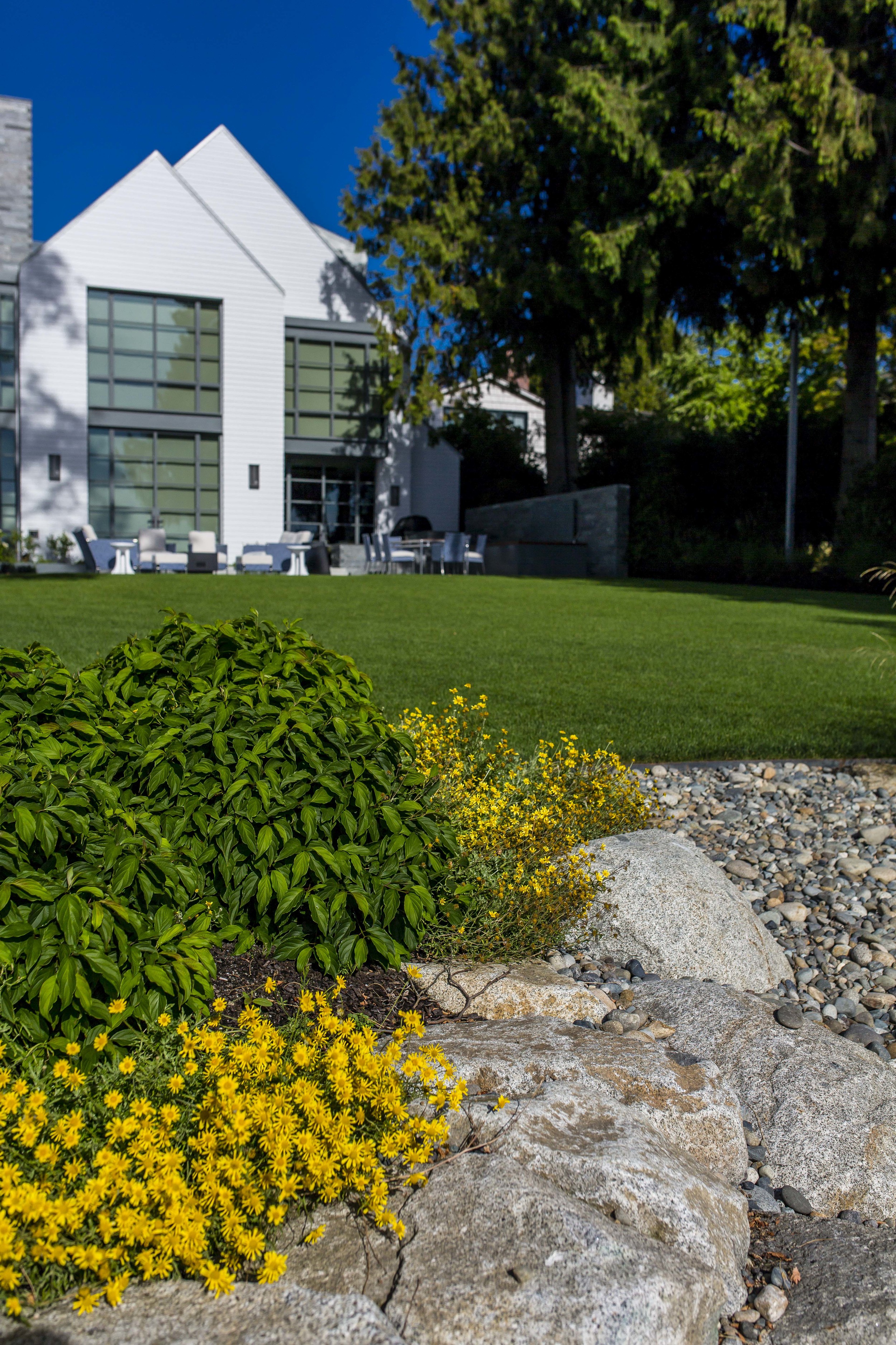 Project Groundwork Madison Park Shoreline Restoration