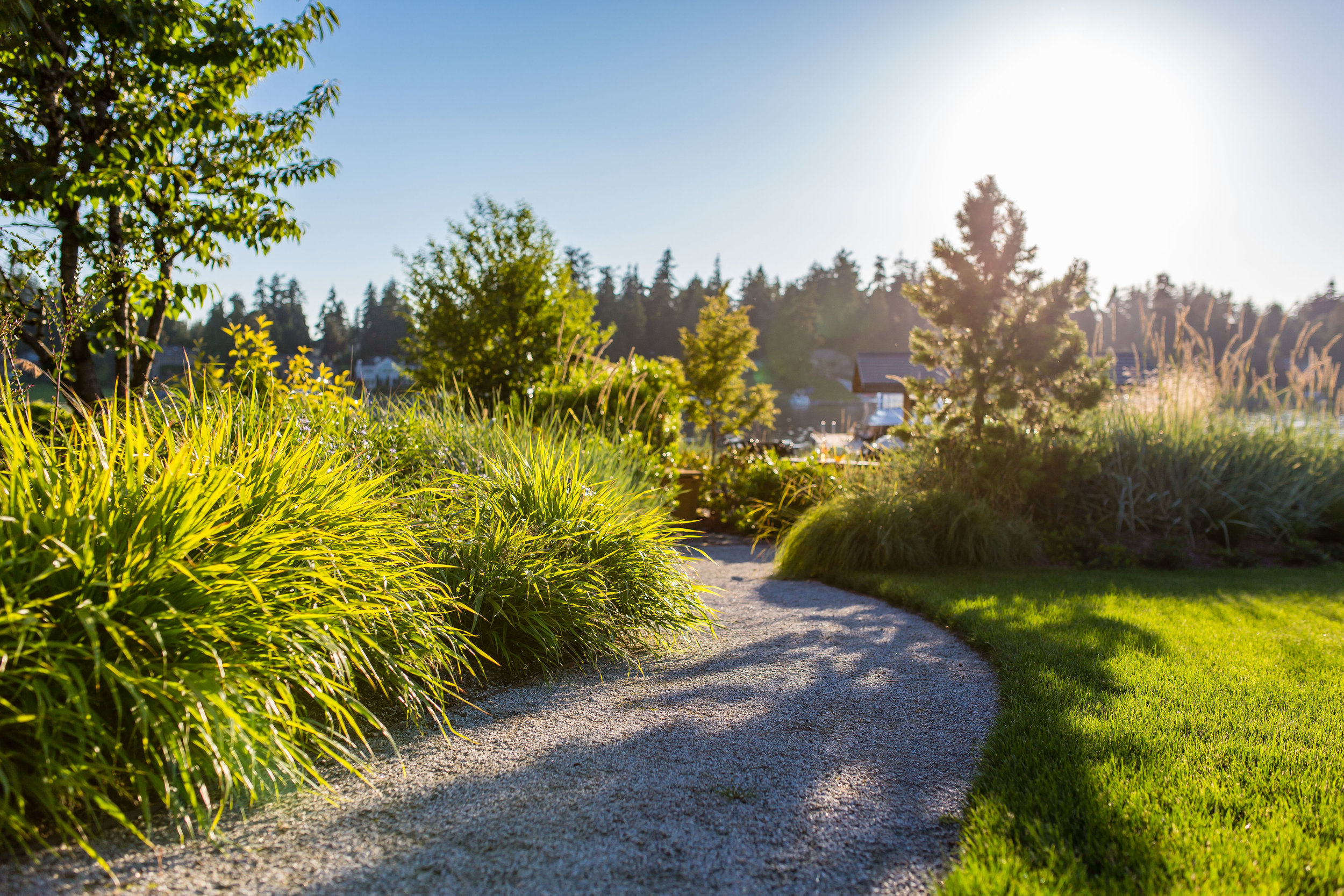 Project-Groundwork-Yarrow-Residence-2.jpg