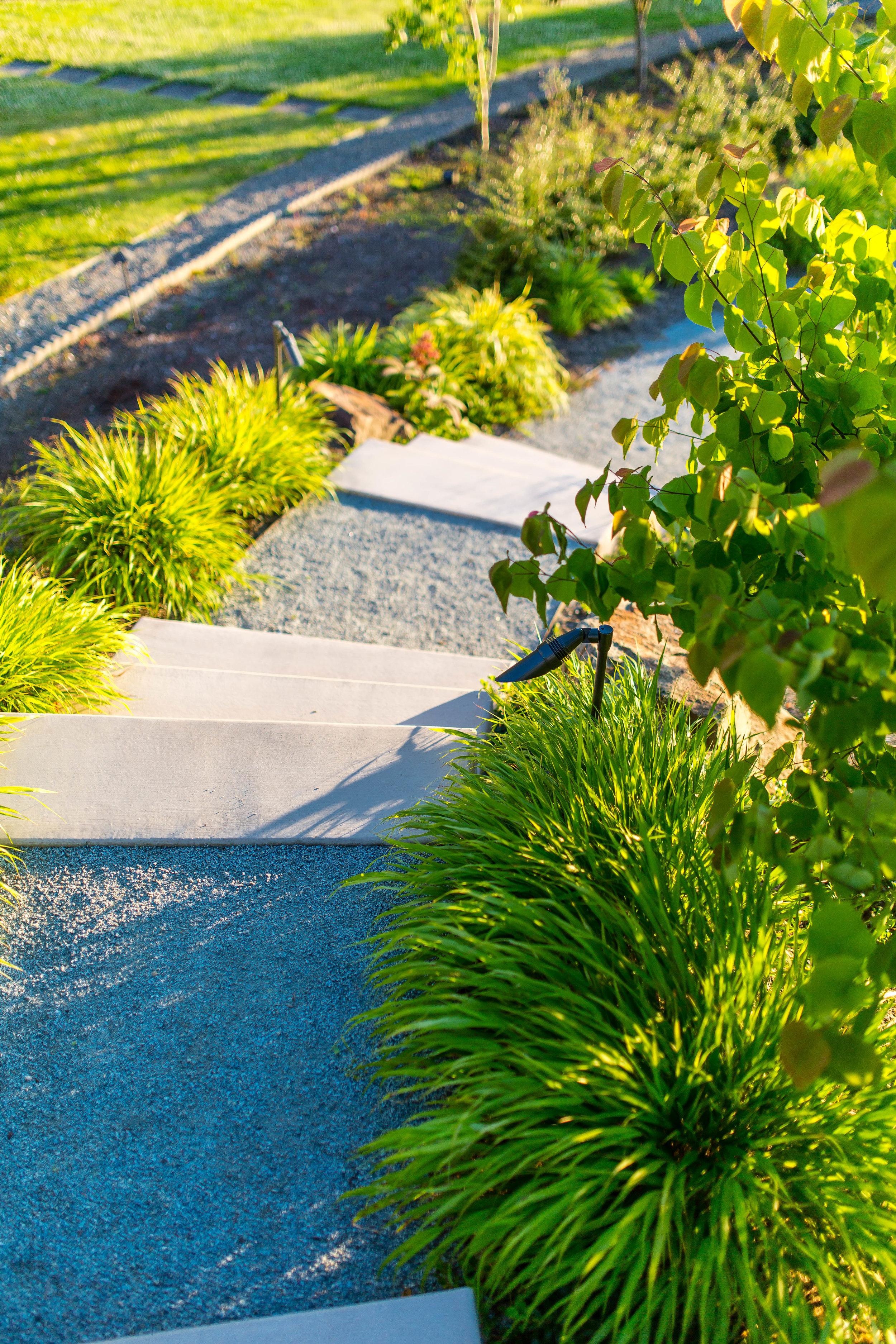 Project-Groundwork-Yarrow-Residence-4.jpg