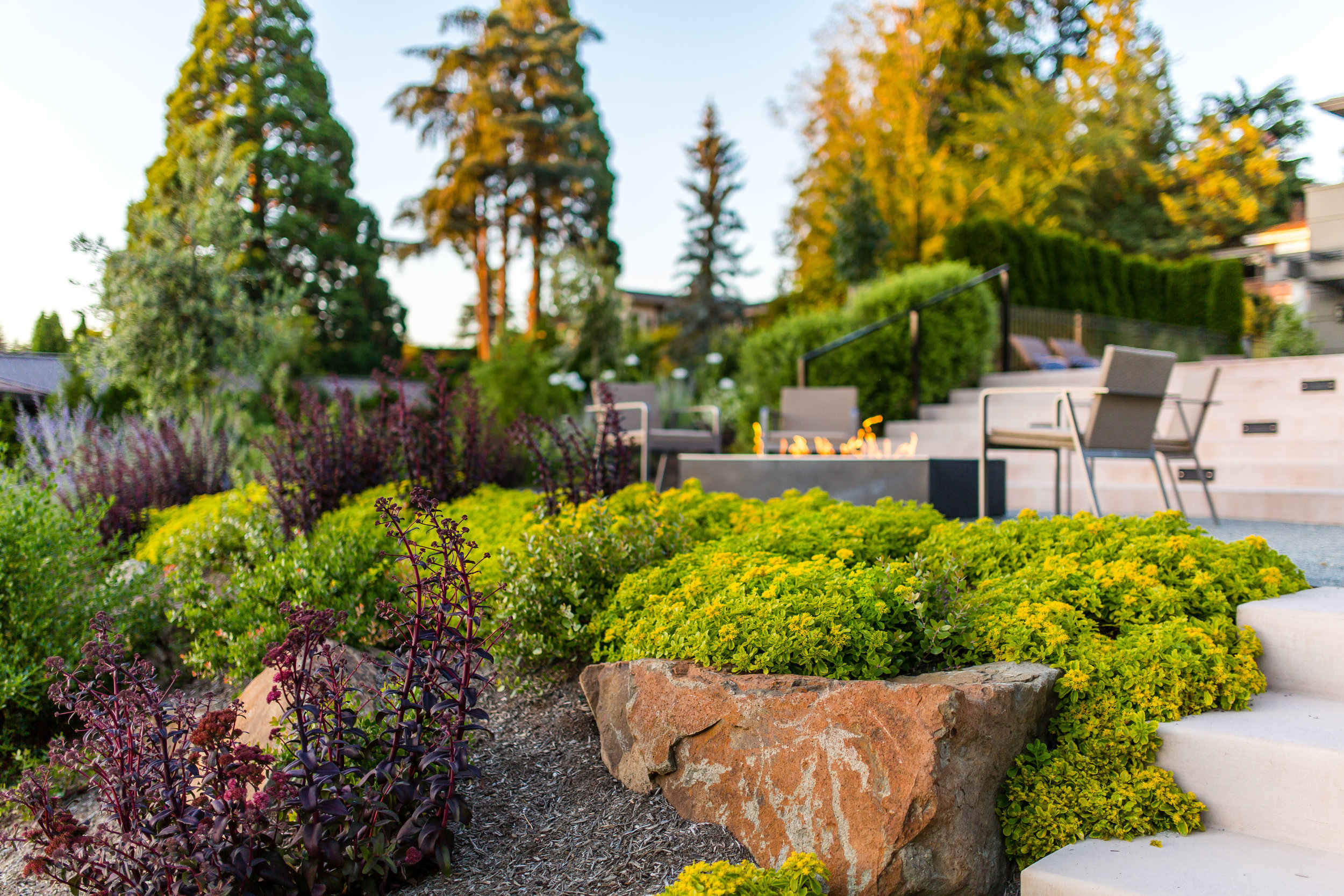 Project-Groundwork-Yarrow-Residence-9.jpg