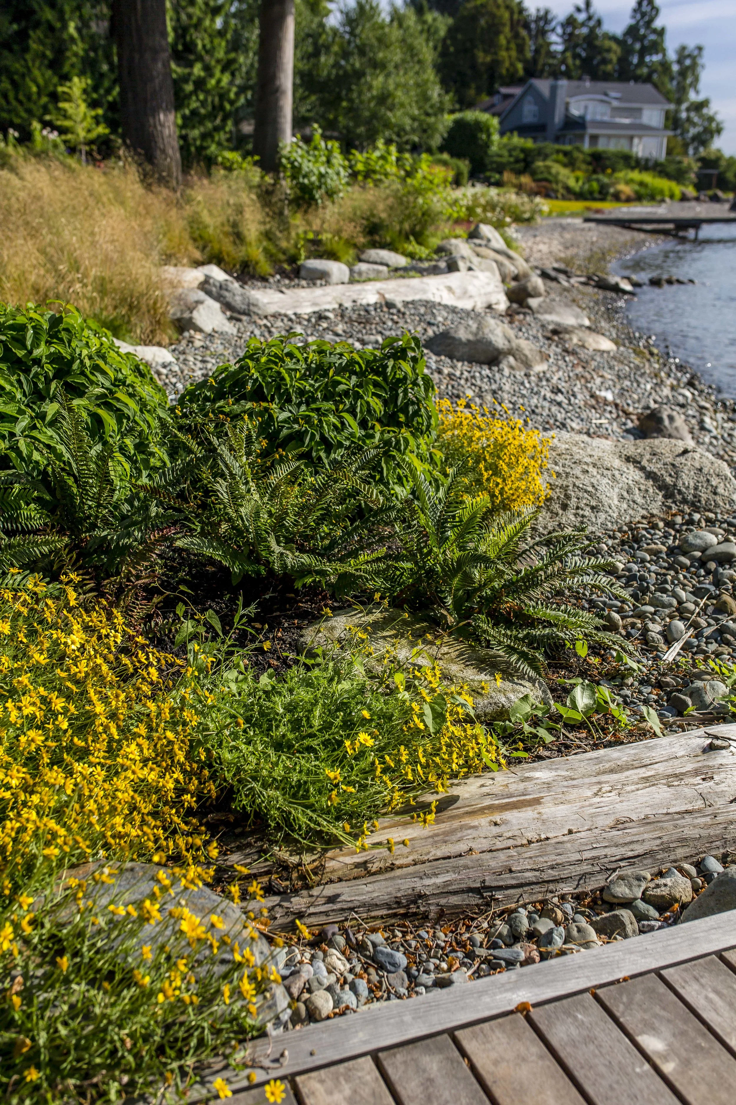 Project Groundwork-Madison Park Shoreline Renovation-2.jpg
