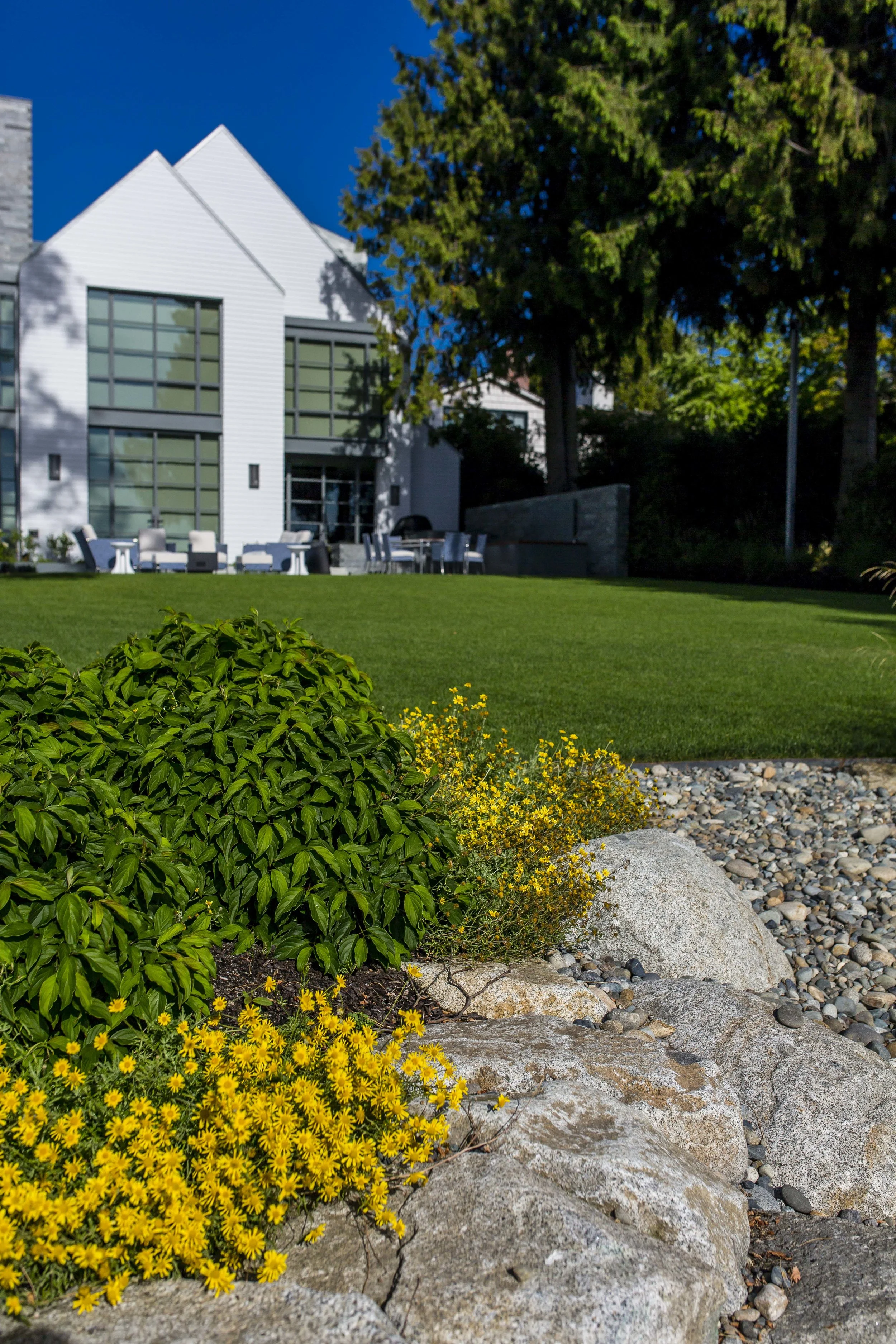Project Groundwork-Madison Park Shoreline Renovation-5.jpg
