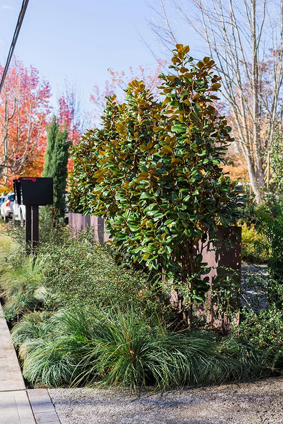 Saunders Residence-Houzz (4).jpg