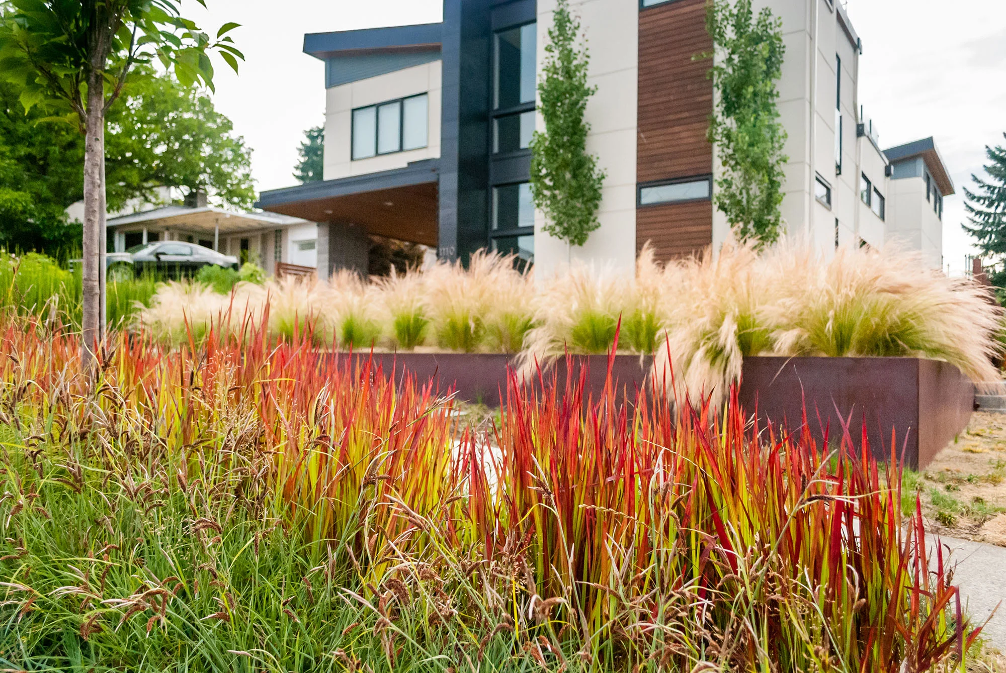 Whittaker Residence-20170721-2.jpg