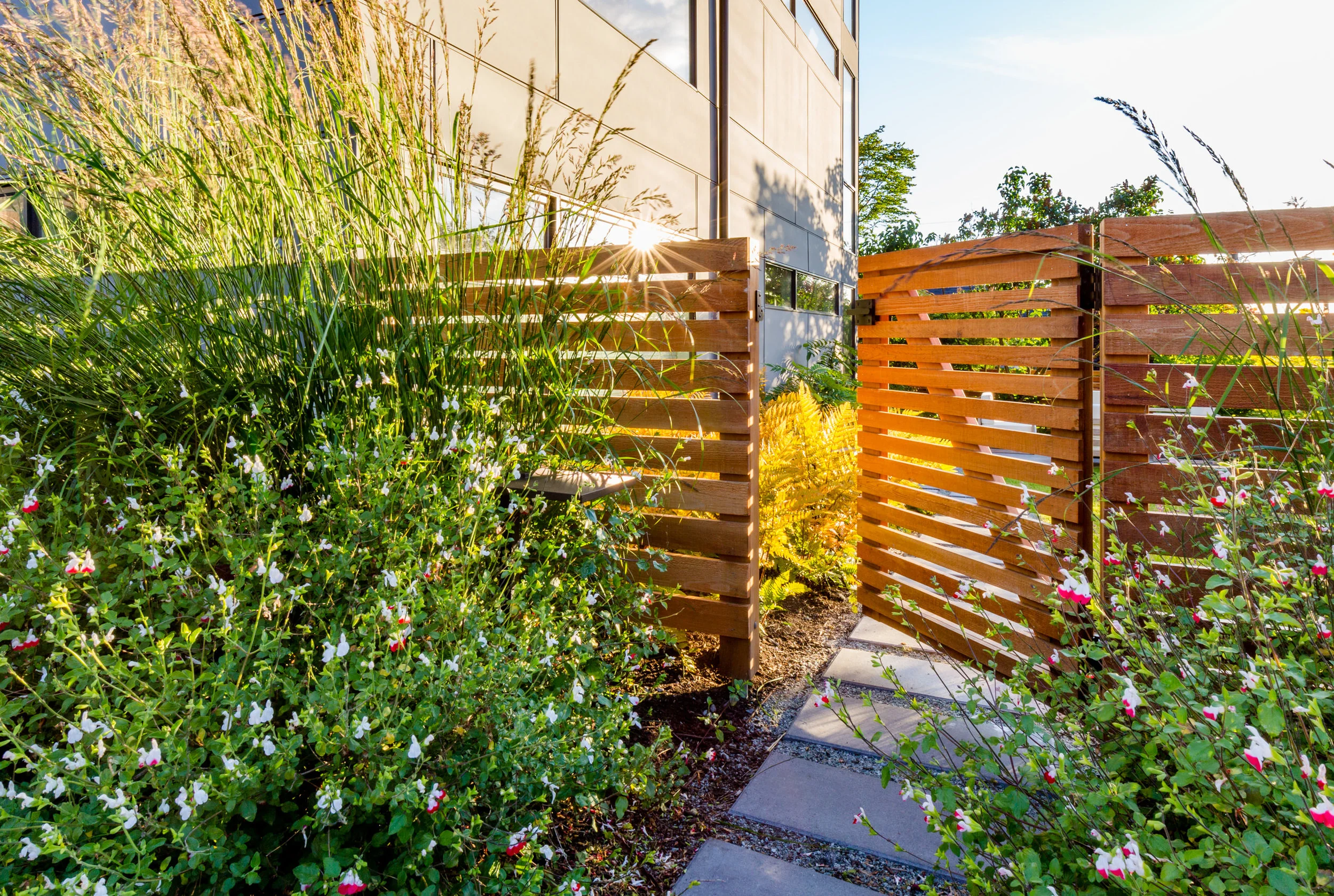 5-0003-Miranda-Estes-Photograpy-SCJ Studio-Wheelock Residence-20180611.jpg