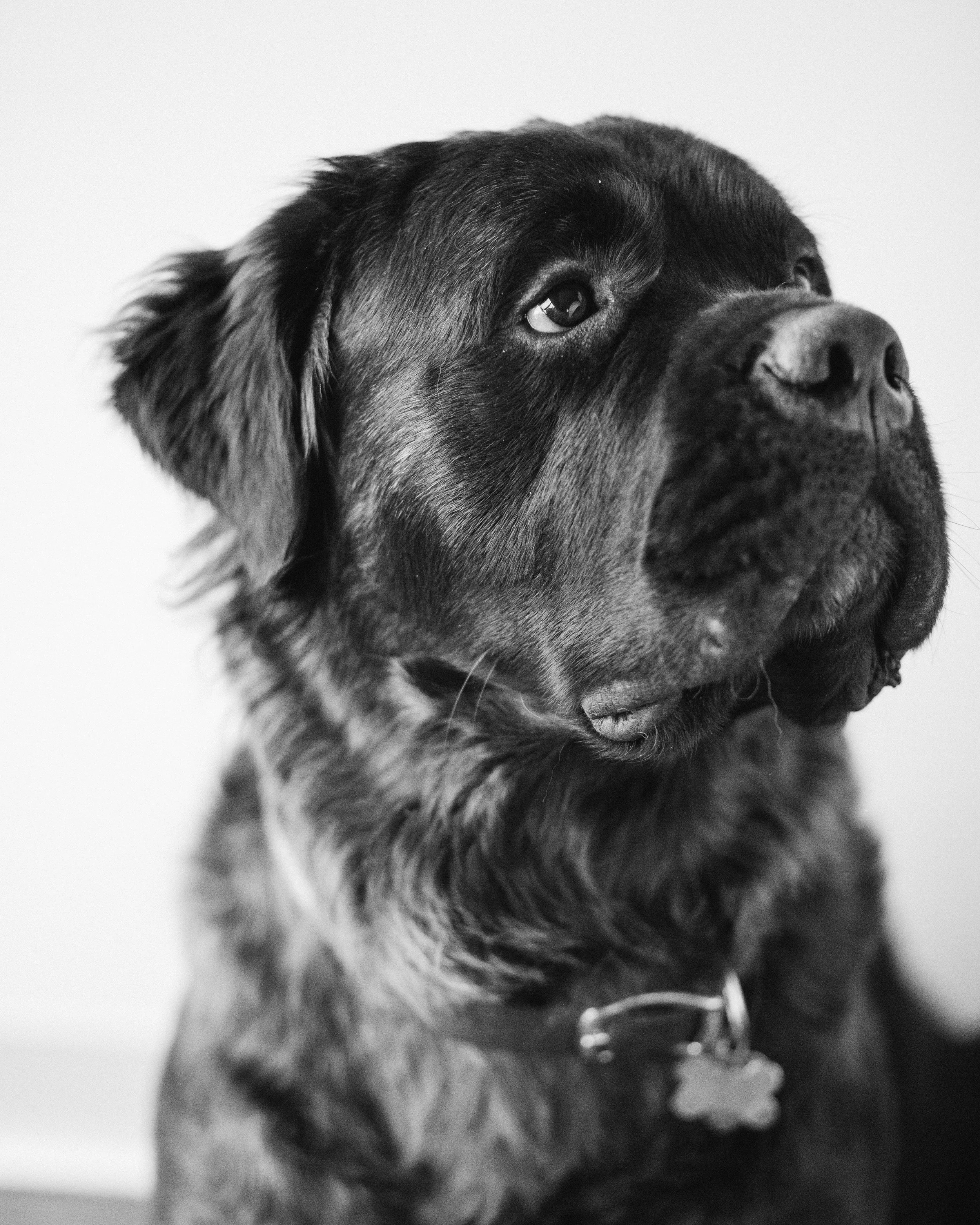 Leo Head Shot-2.jpg