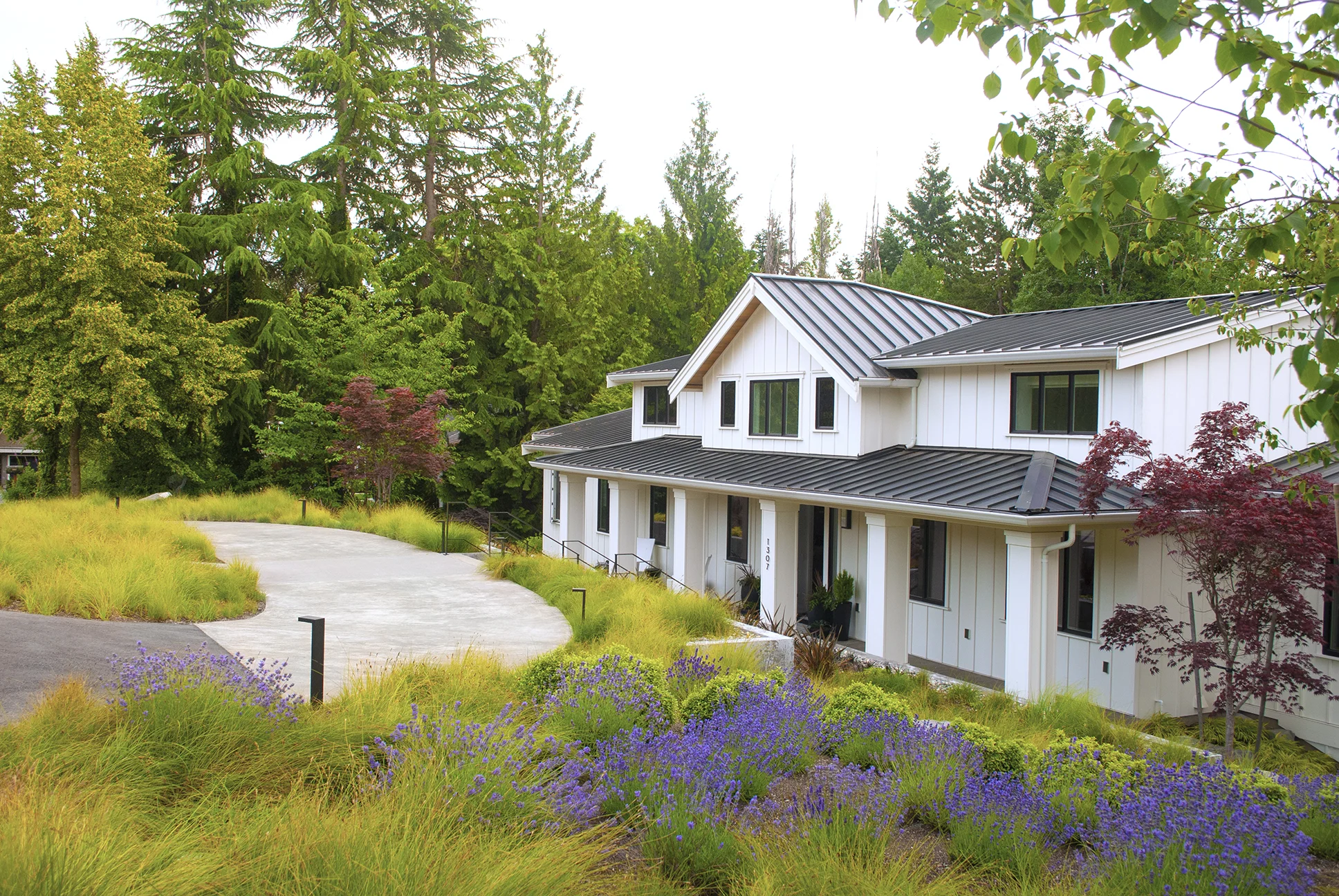 On a gently sloping site along a stream, SCJ Studio worked closely with the homeowners to achieve their dream landscape around their new home. The owner envisioned a flowing meadow of grass punctuated by evergreen shrubs under a grove of trees. We combined those ideas and brought the meadow around the home in various spots, flowing into the backyard: an oasis under olive trees with a large firepit and outdoor dining. Landscape lighting and artistic accents finish it off.