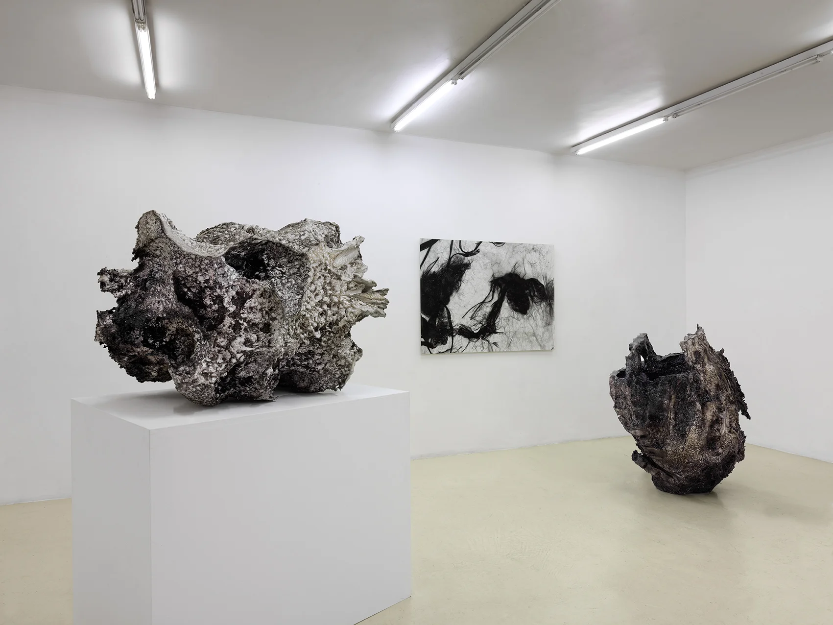 Installation view, galerie Jean Brolly Paris, France