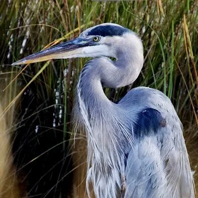unnamed (2).jpg