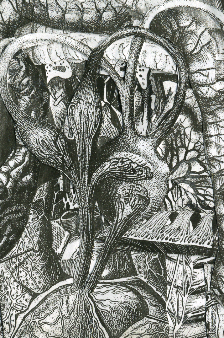 close-up.gif