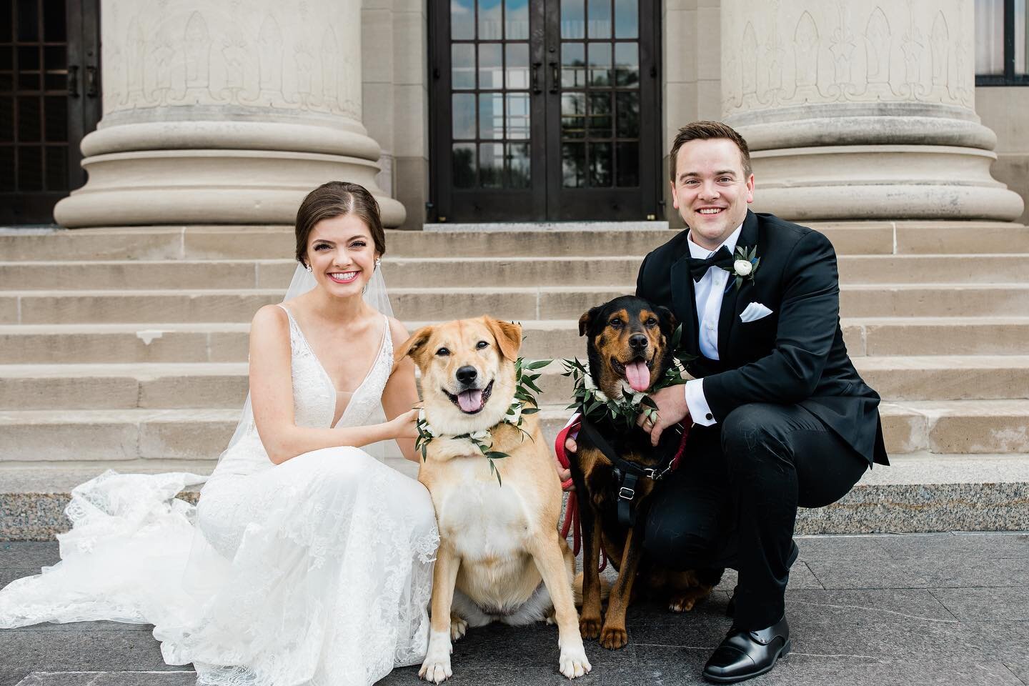 These puppies loved seeing their mommy and daddy getting married!!! And a super big thanks to the couple&rsquo;s bestie for being their chauffeur 😉
.
.
.
.
#kcwedding #newlyweds #loveourclients #celebrationsoflove #celebrationsoflovekc #weddingplann