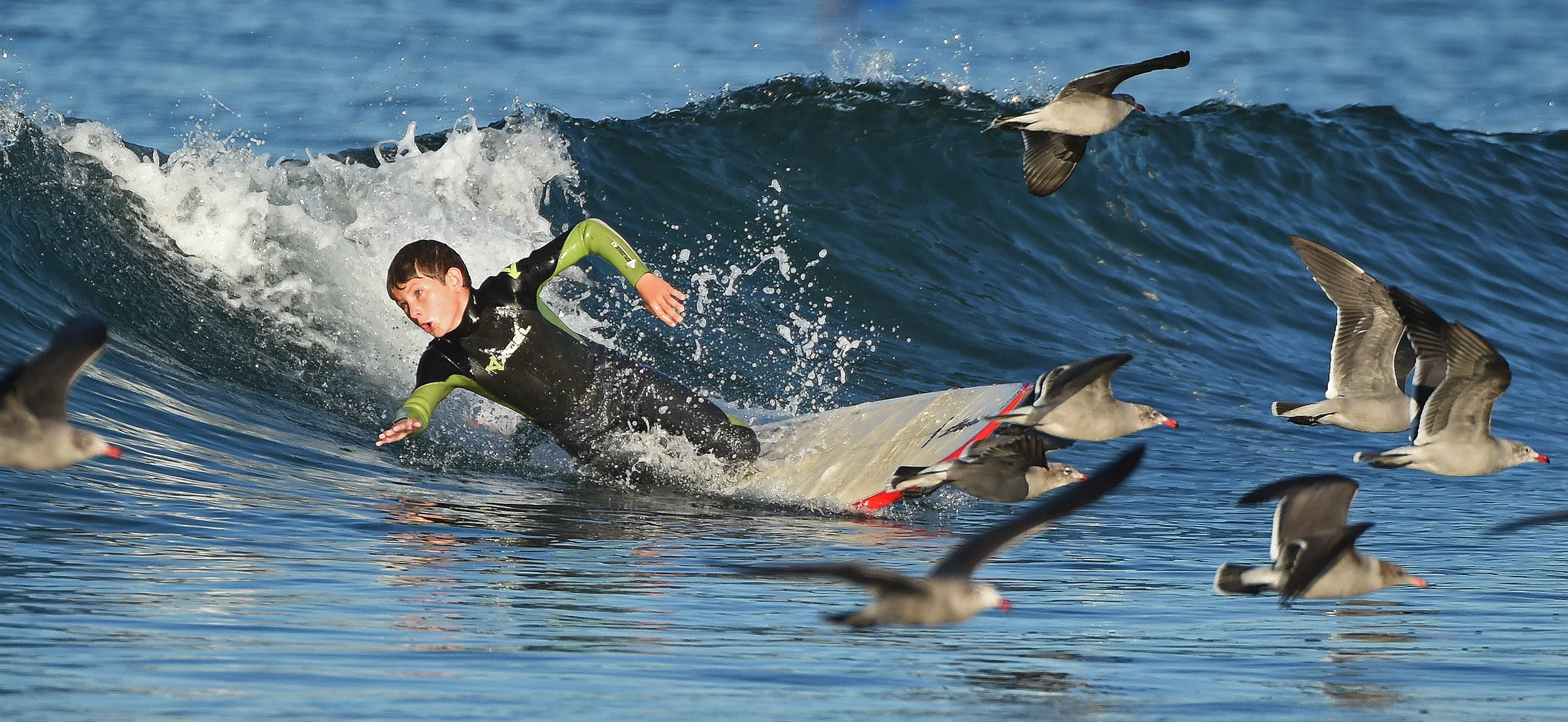 A young surfer wipes out as he surfs during a morning surf session at Newport Beach Municipal Beach.