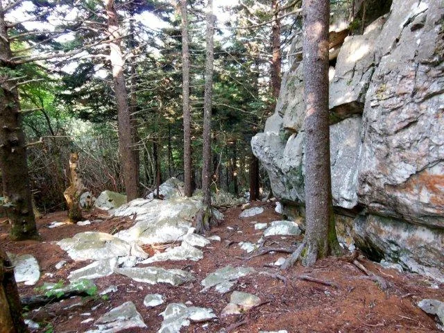 This is the south face of Shining Rock.