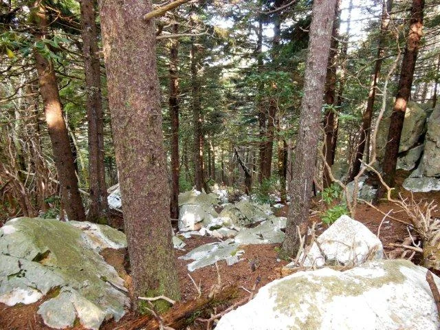 This is the debris field at the base of Shining Rock.