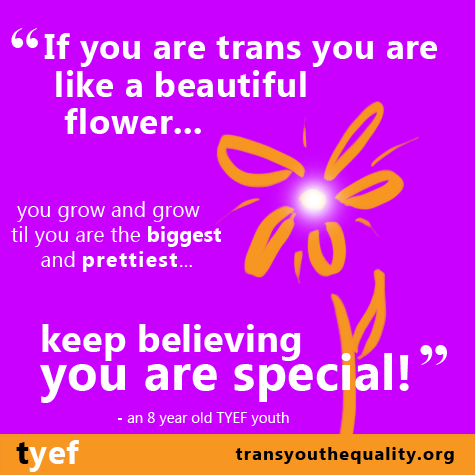tyef8.webp