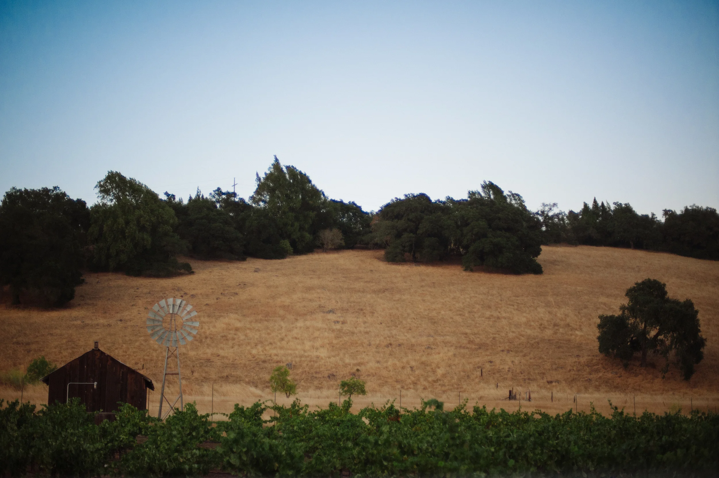 MargoChrisFavs_090.jpg